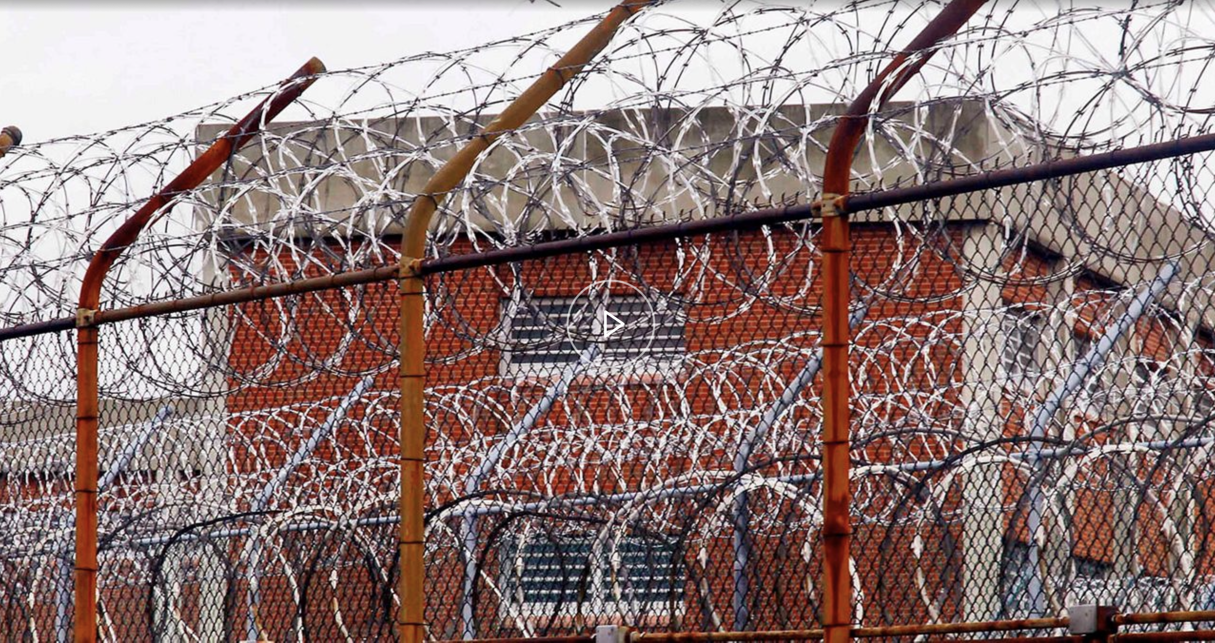 Screen Shot 2023-03-09 at 2.49.23 AM.png