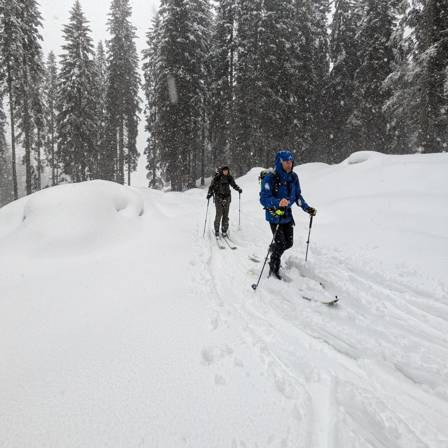 I corsi di scialpinismo e splitboard sono partiti alla grande nonostante l inizio stagione un po' avaro di neve..ma alla prima uscita ci siamo regalati una giornata memorabile che ha davvero motivato tutti!
Alla prossima gita!!❄️❄️

@paganella_academ