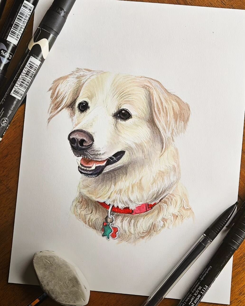 Loved how this one turned out! 🥰🐶 
&nbsp; ⠀⠀⠀⠀⠀⠀⠀⠀⠀⠀⠀⠀
Decided to post the photo I got sent as well! 😁 Figured it might be interesting to see the picture vs the portrait! Let me know if you'd be interested to see more reference photos vs portraits