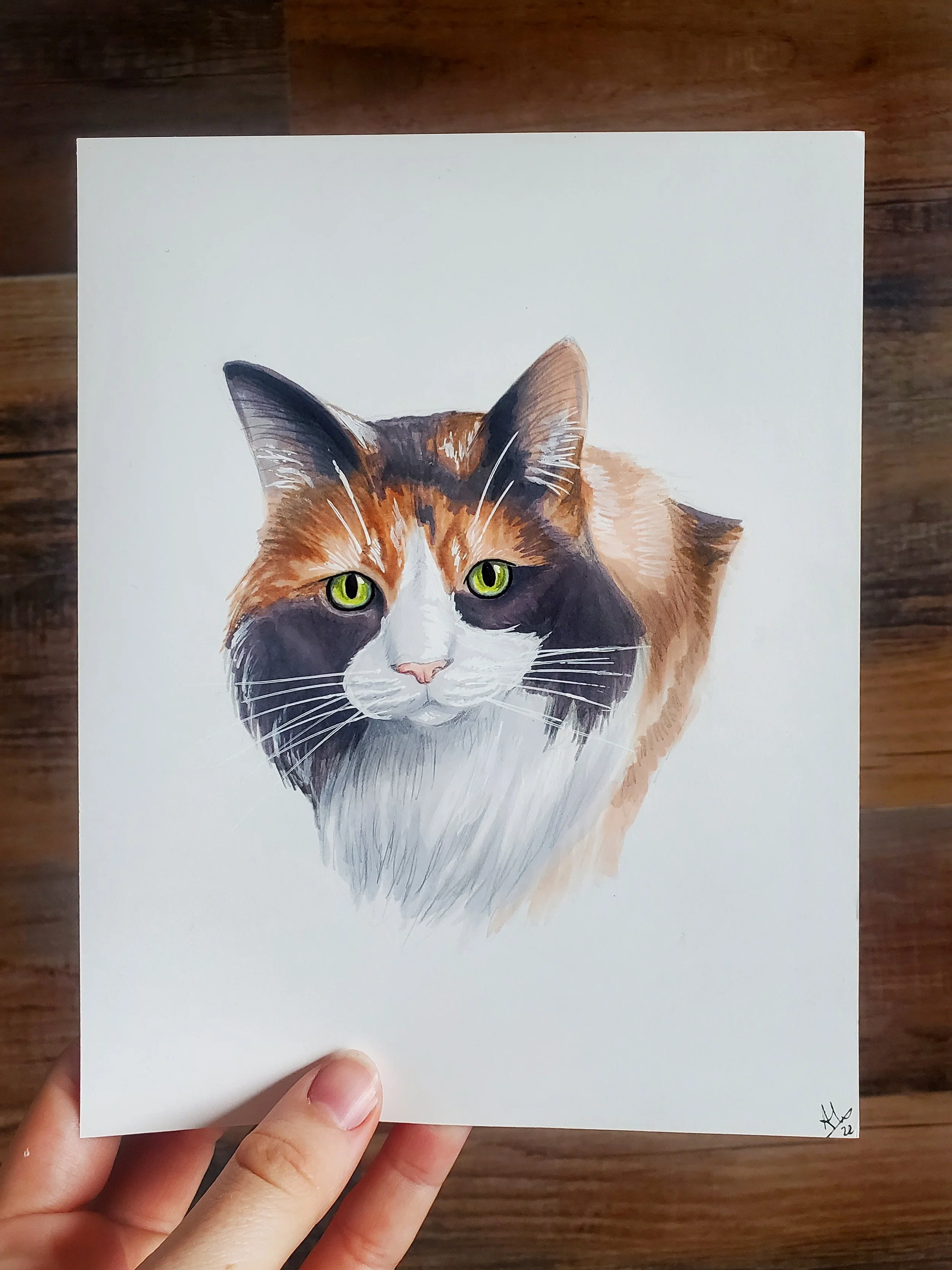 kaylacat.jpg