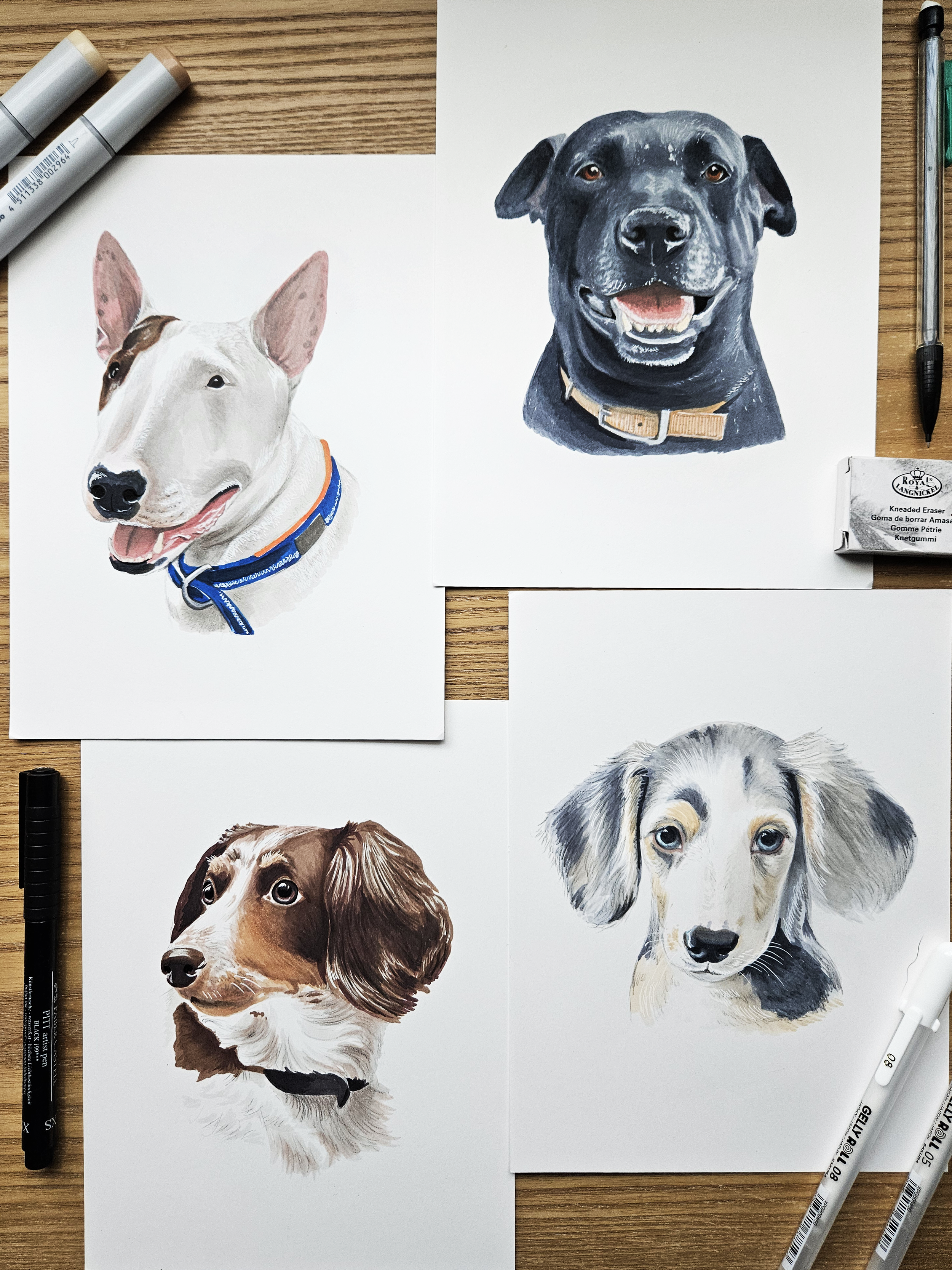 caitlyn dogs.png