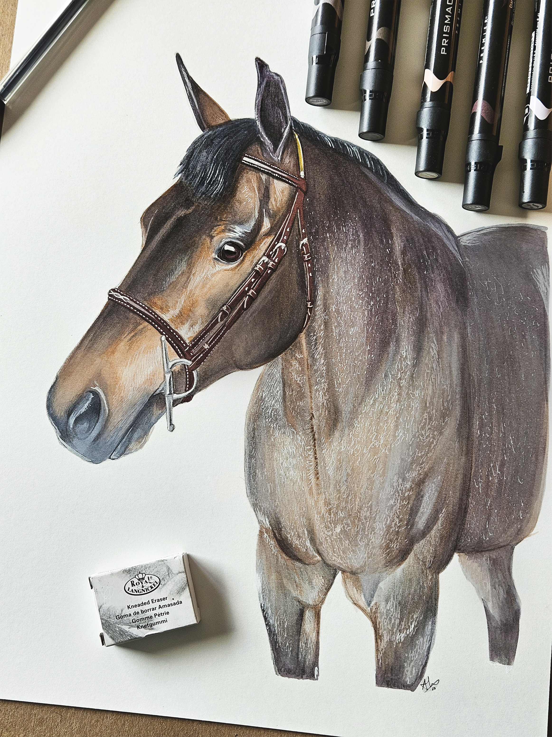 bay roan pony fixed smaller.png