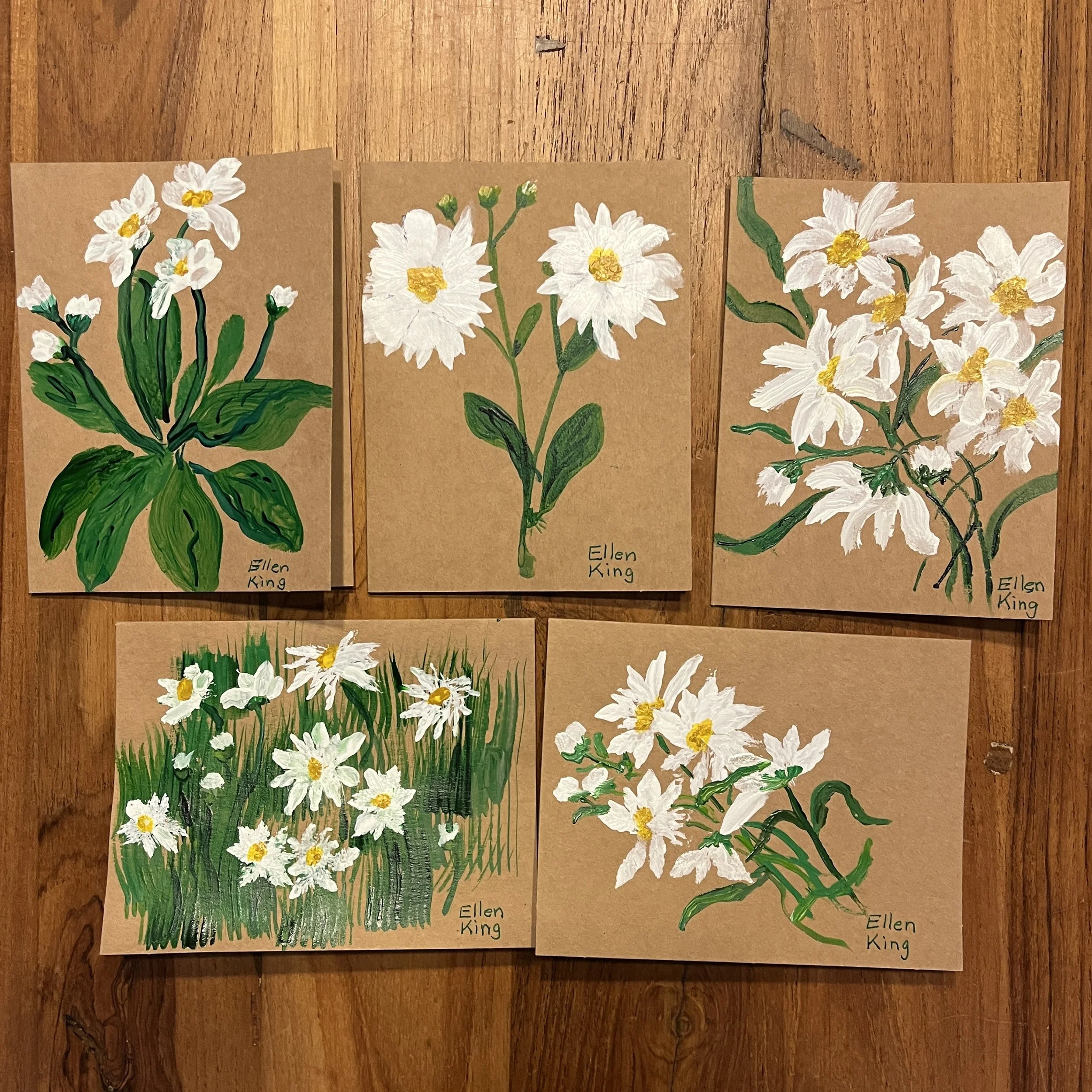 Cards_OxEyeDaisy1.jpg