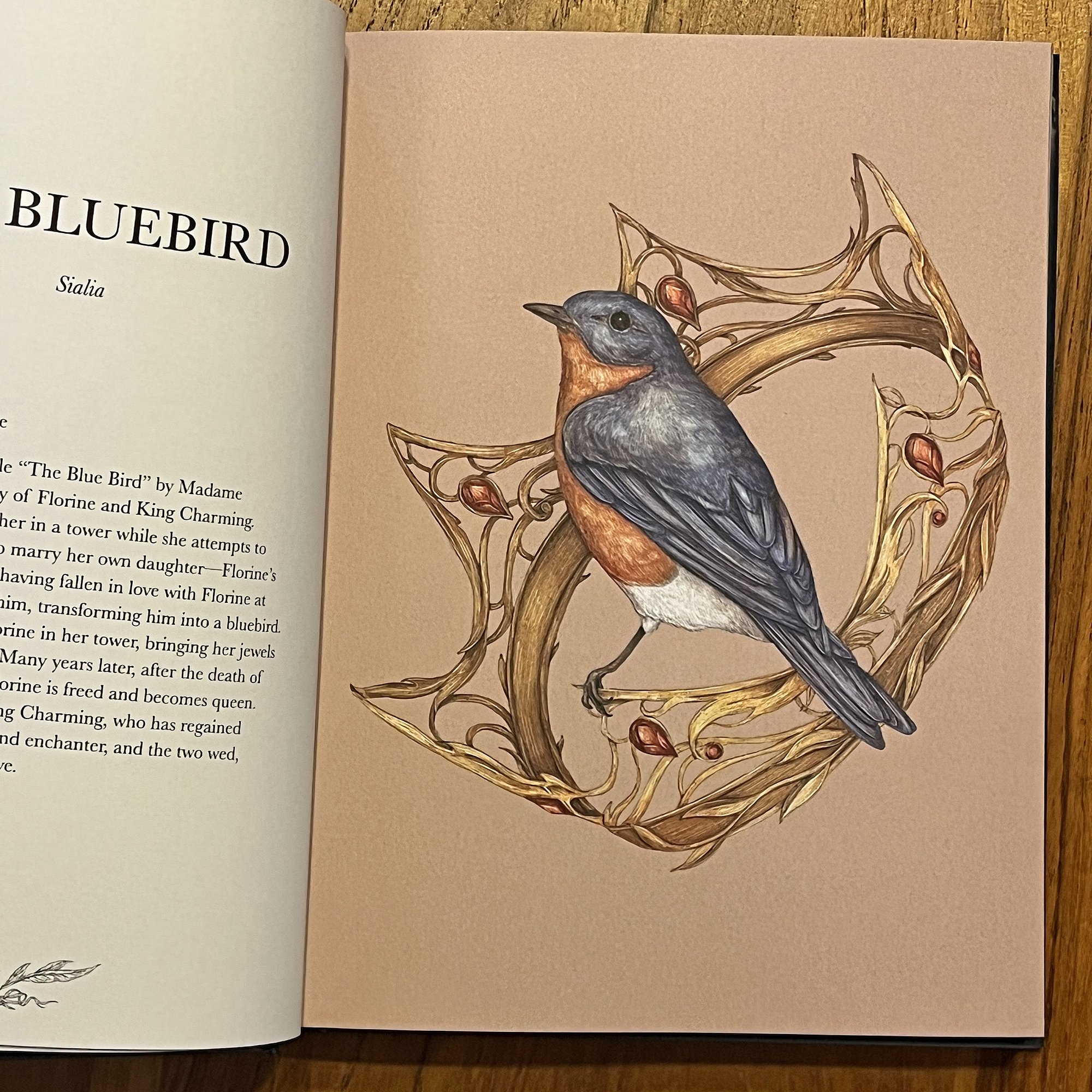 Ornithography4.jpg