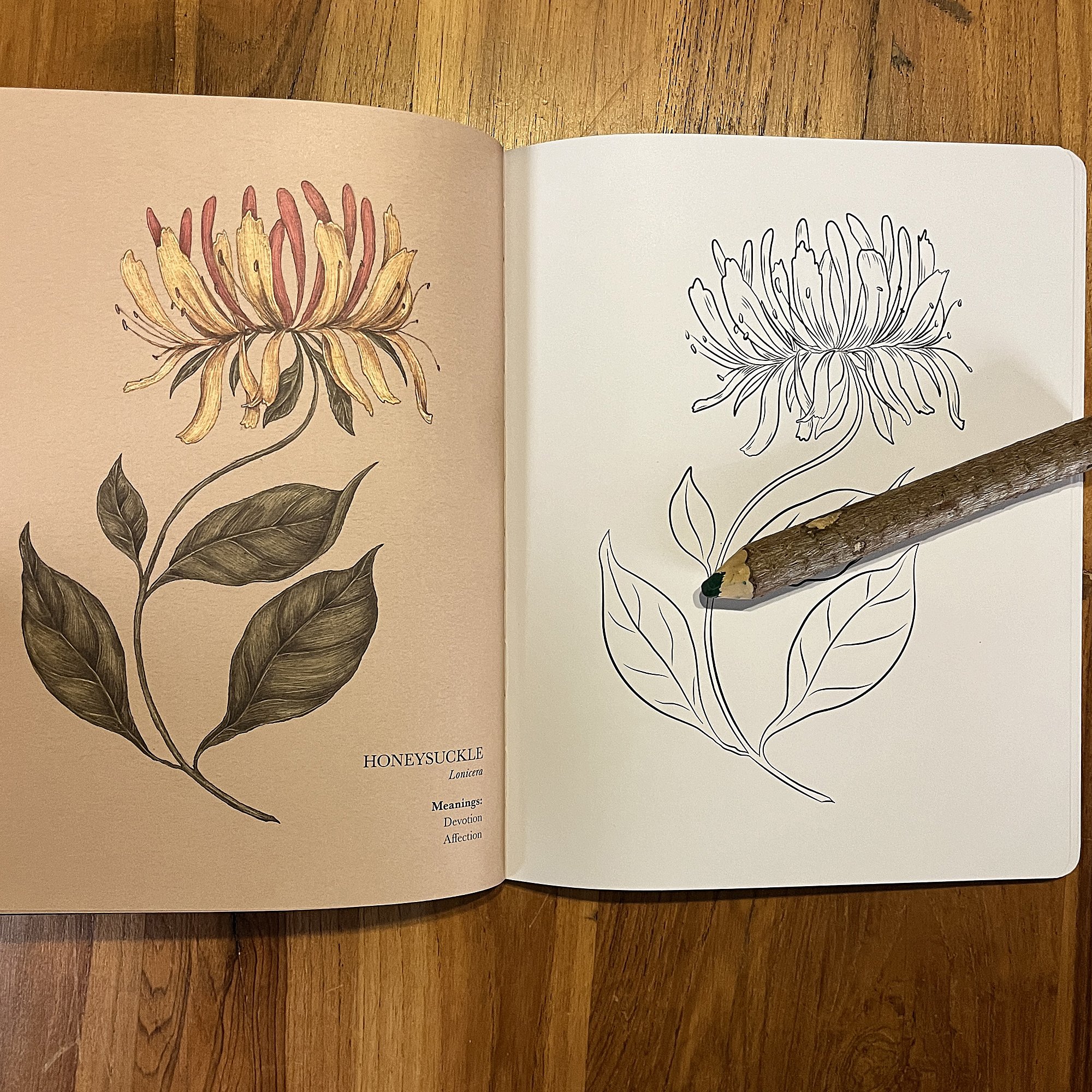 FloriographyColoringBook2.jpg