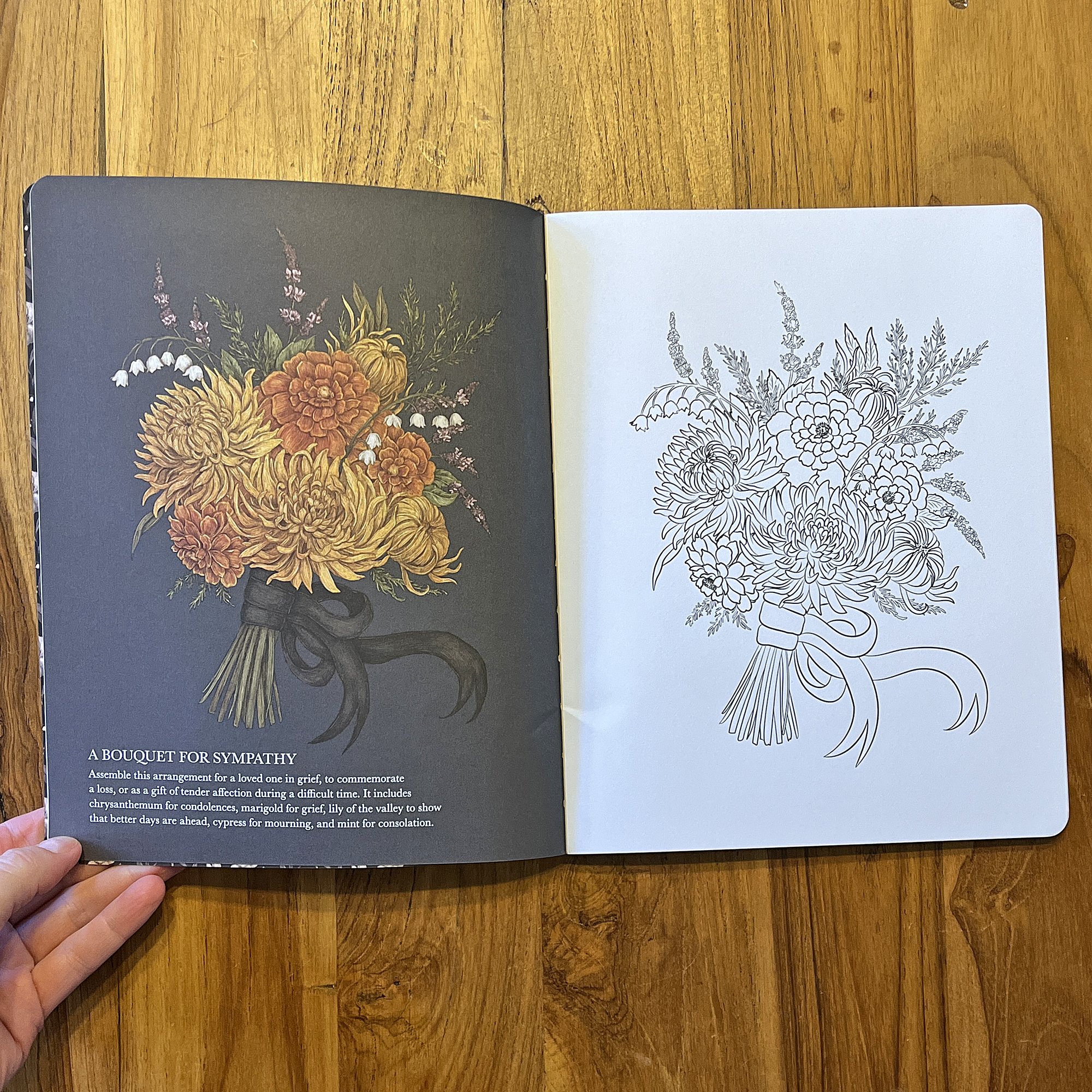 FlorigraphyColoringBook6.jpg