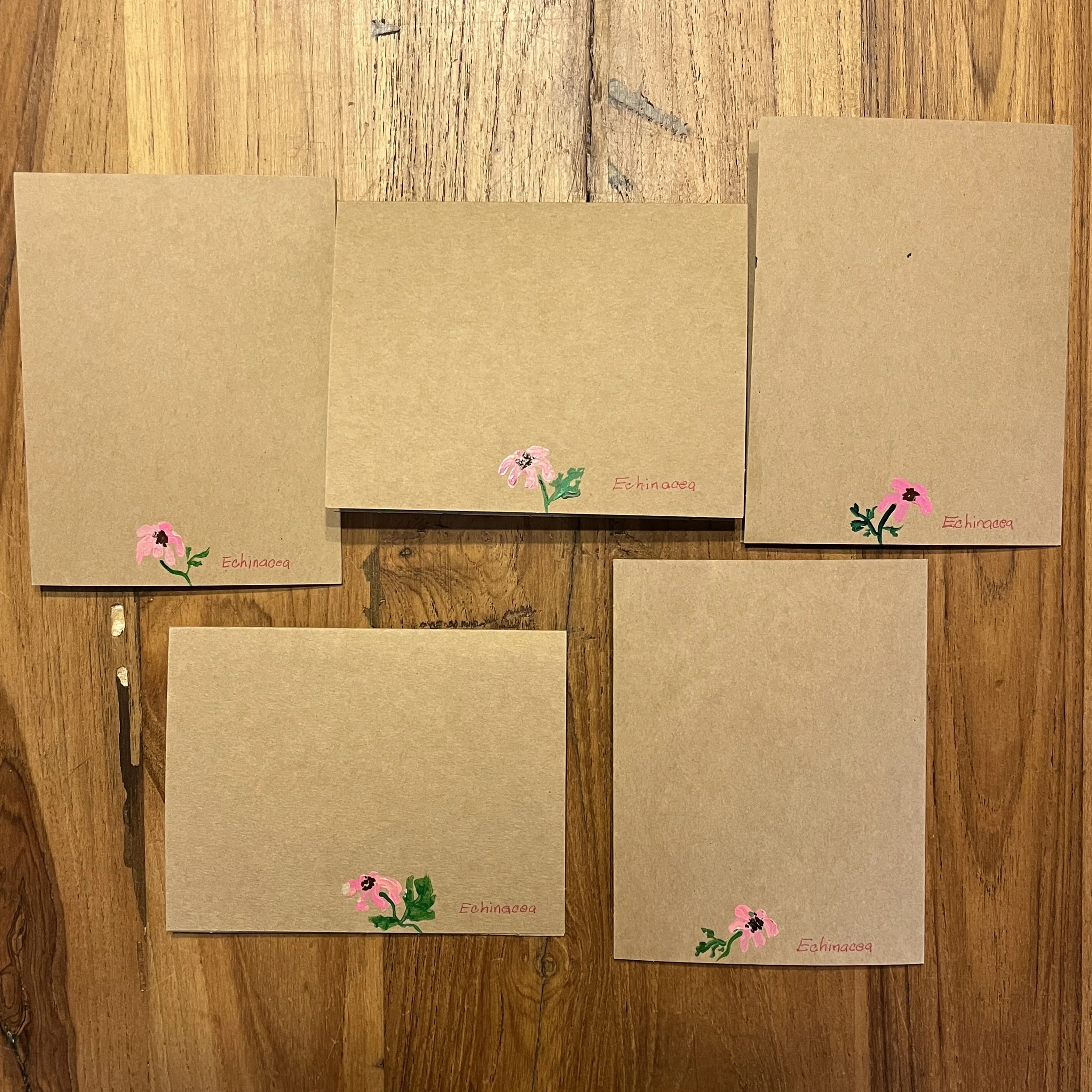 Cards_Echinacea1.jpg