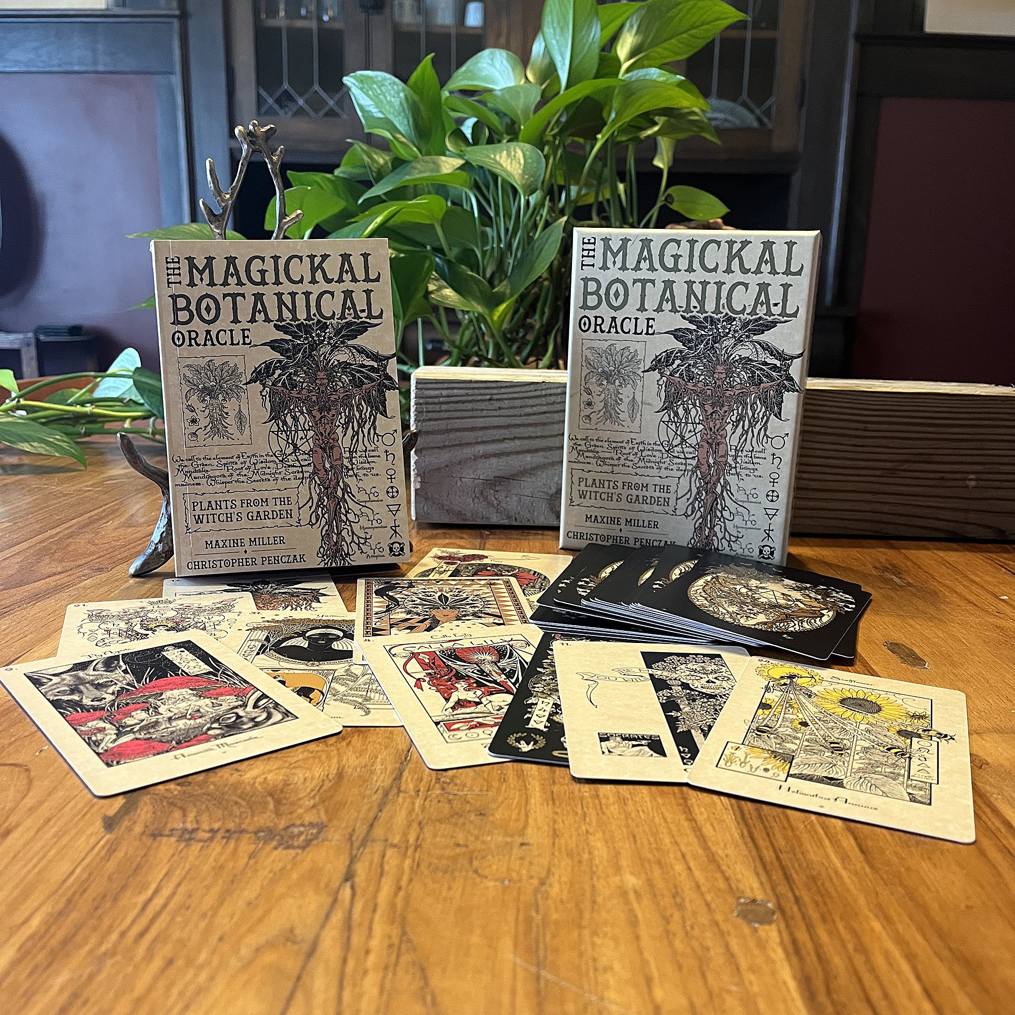 botanicaloracle4.jpg