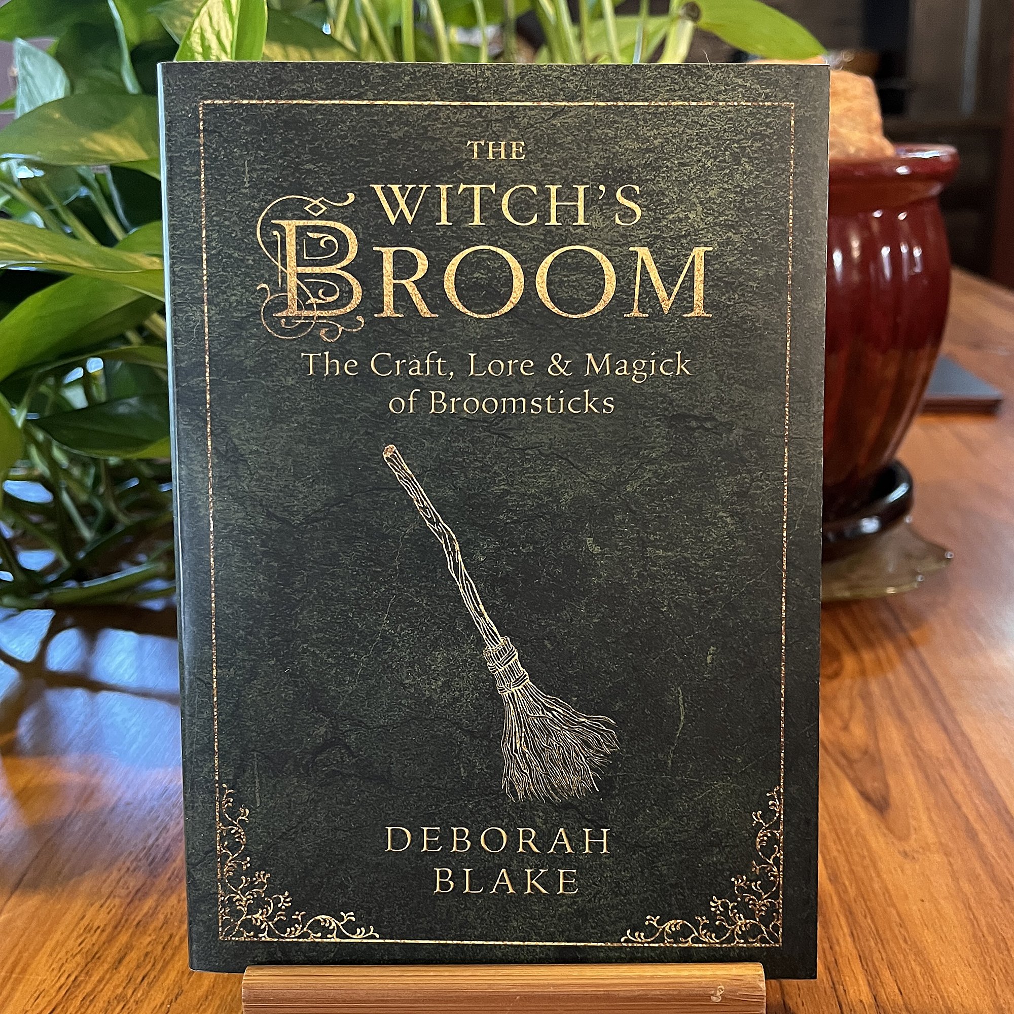 The Witch's Broom book