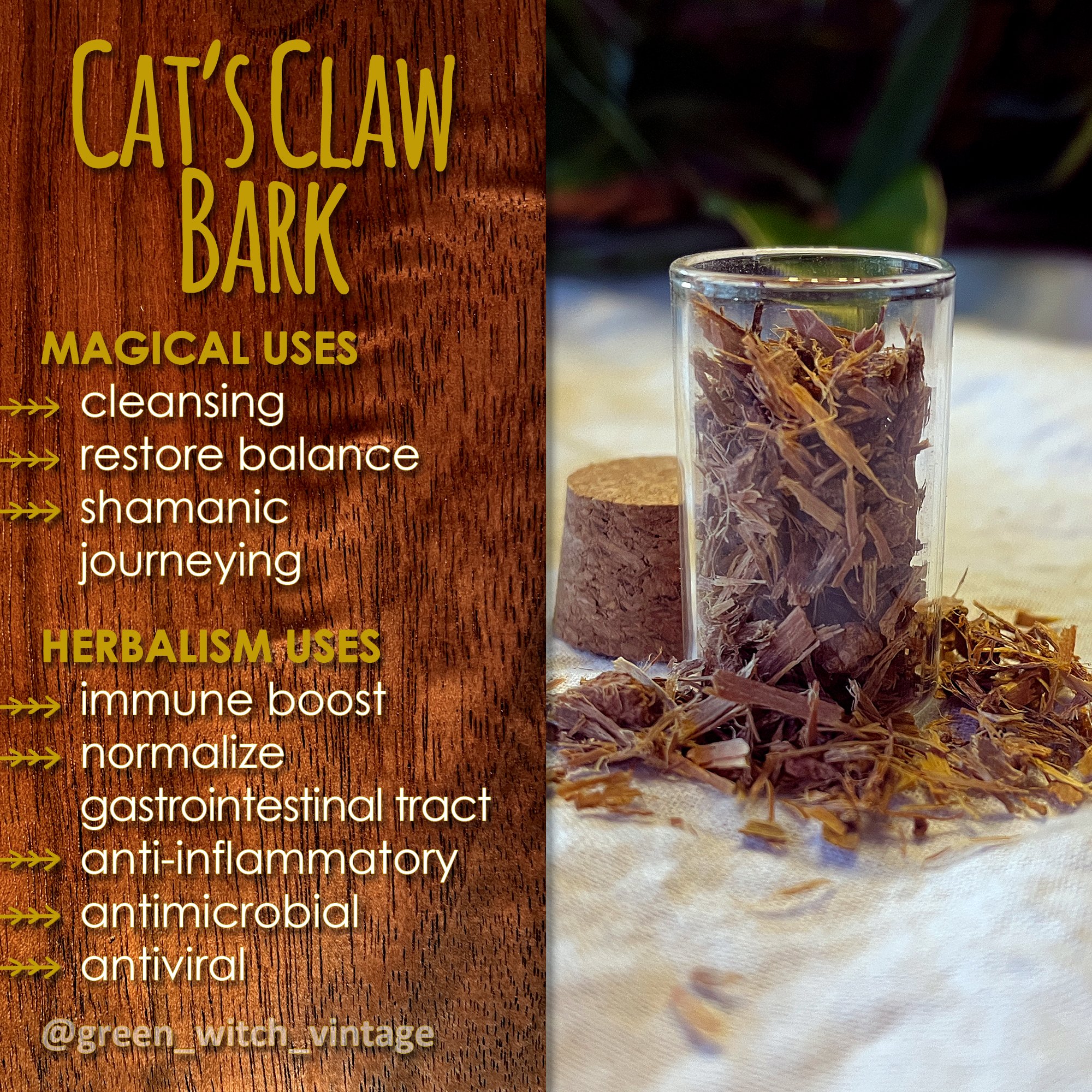 #catsclaw #catsclawbark  #herbalism #herbalist #herbal #herbalhealing #folkmedicine #apothecary #correspondences #magicalcorrespondences #magicalherbs #magicherbs #herbalmagic