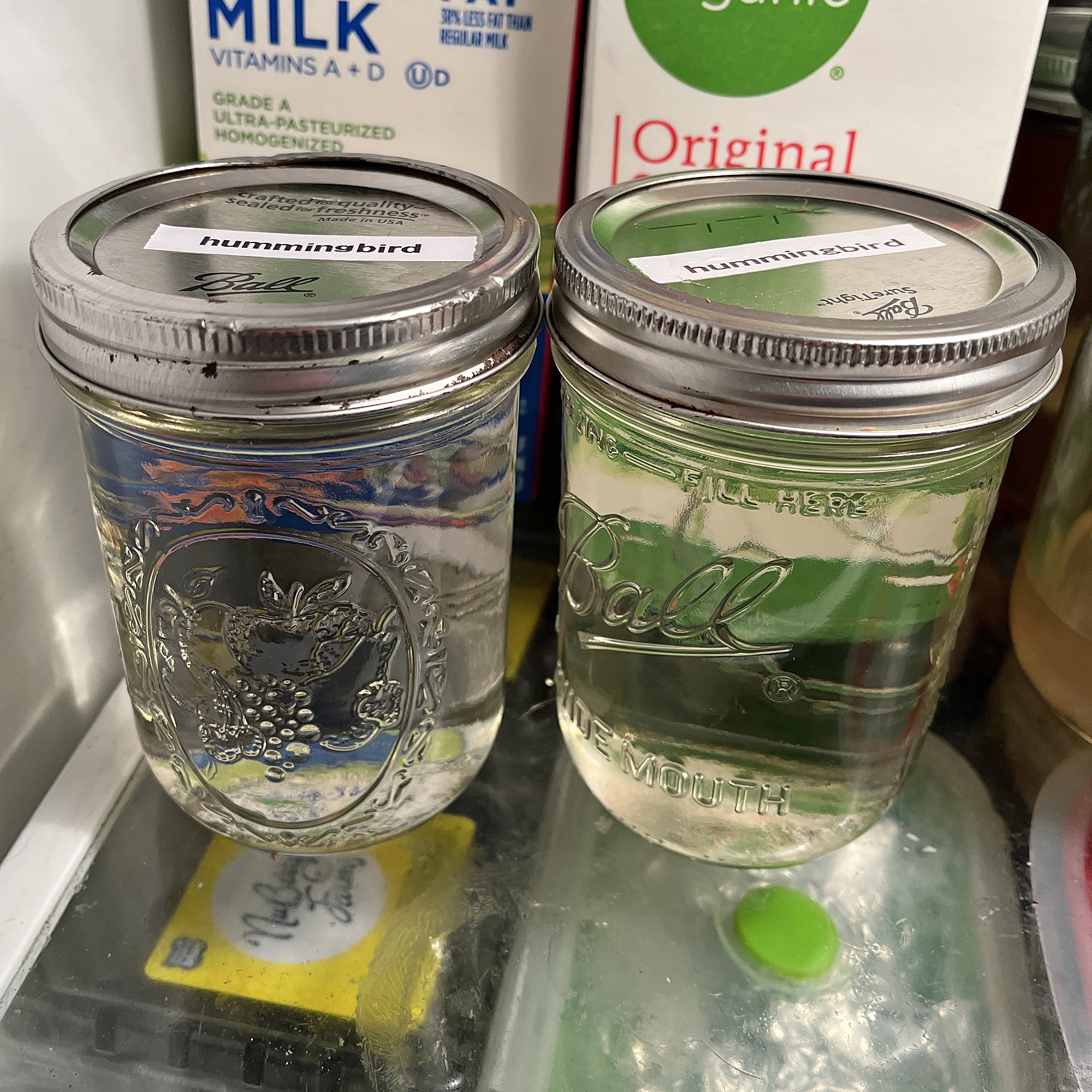 Blog_HummingbirdFood7.jpg