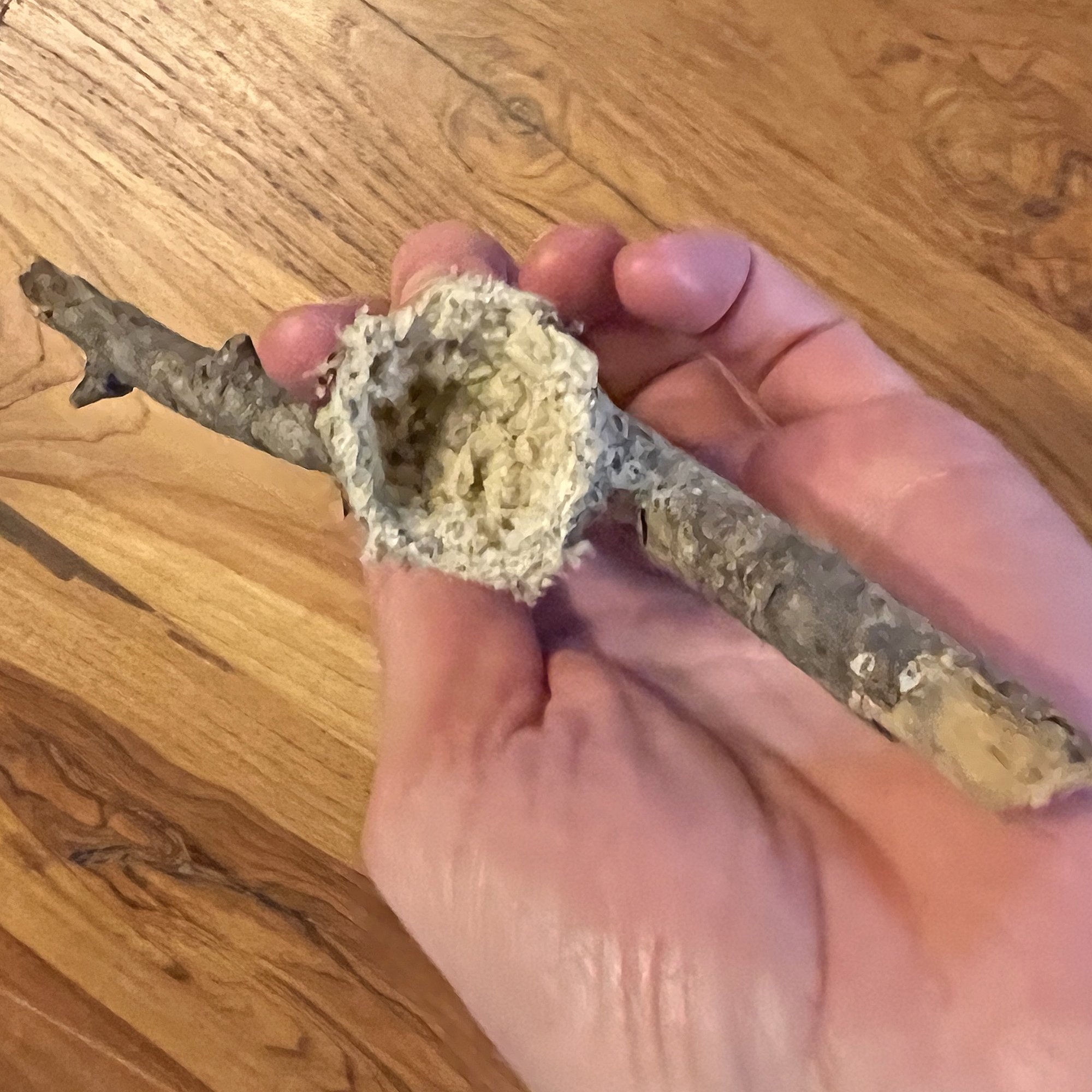 Birds_NestsHummingbird4.jpg