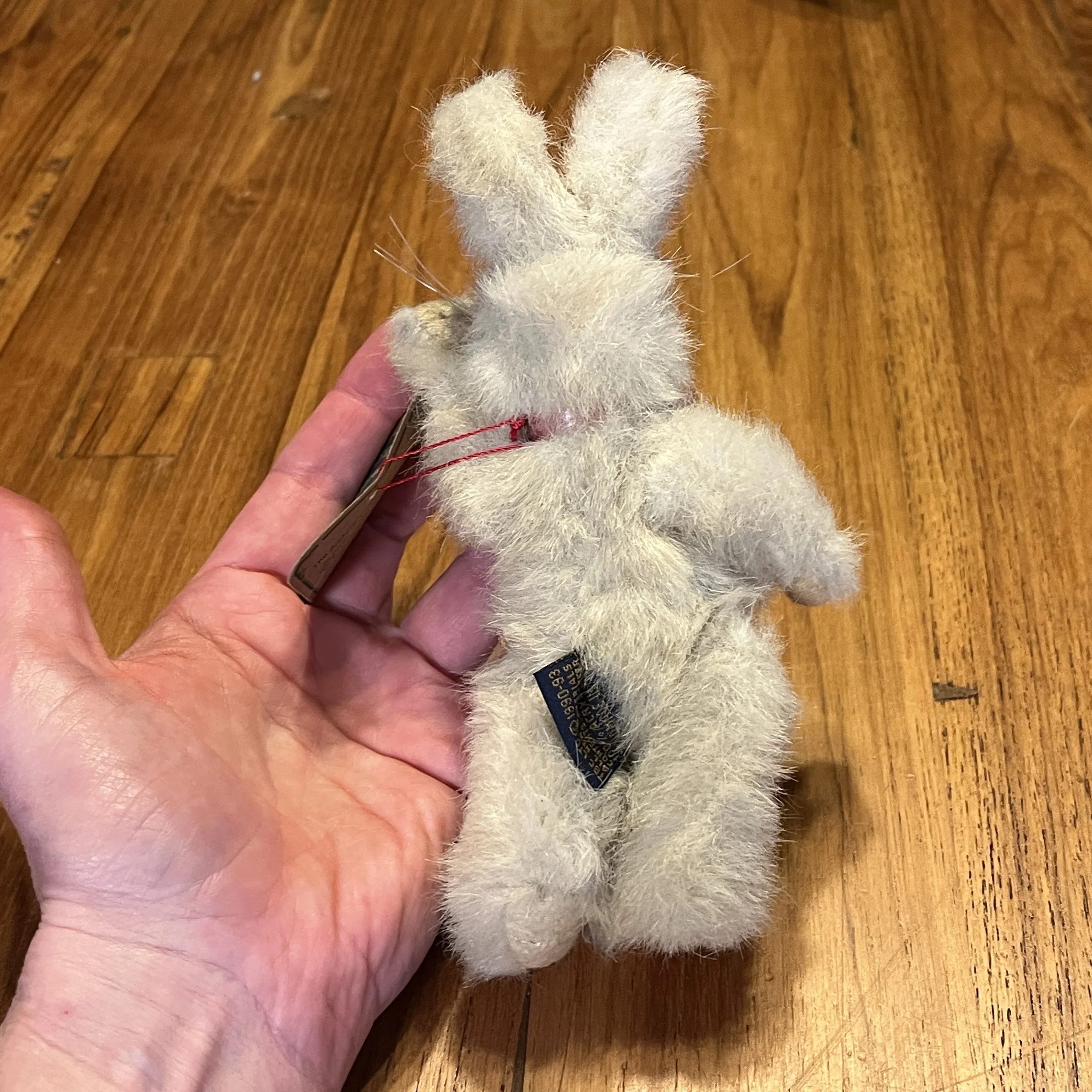 BoydsRabbit5.jpg