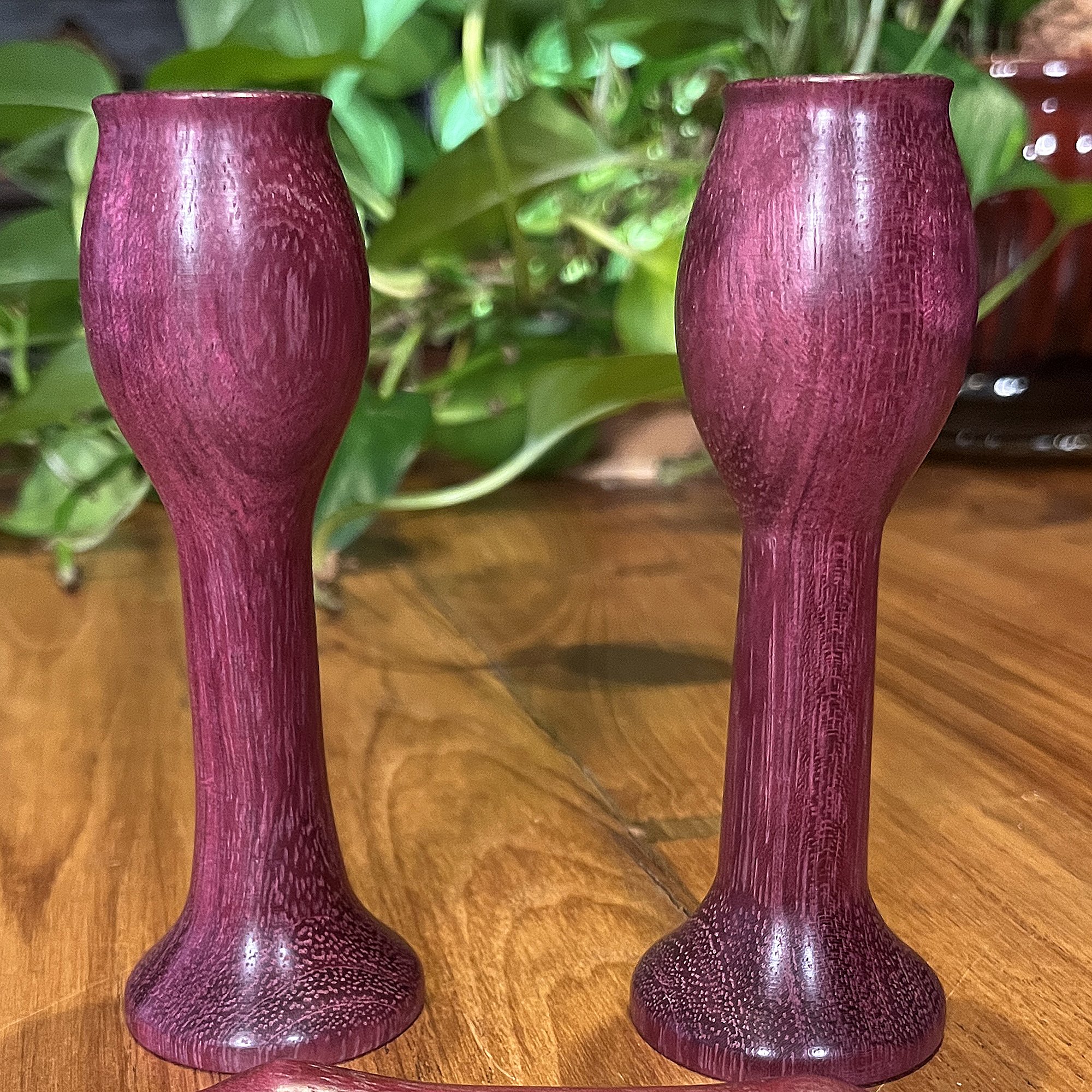 CHTulipBud3.jpg
