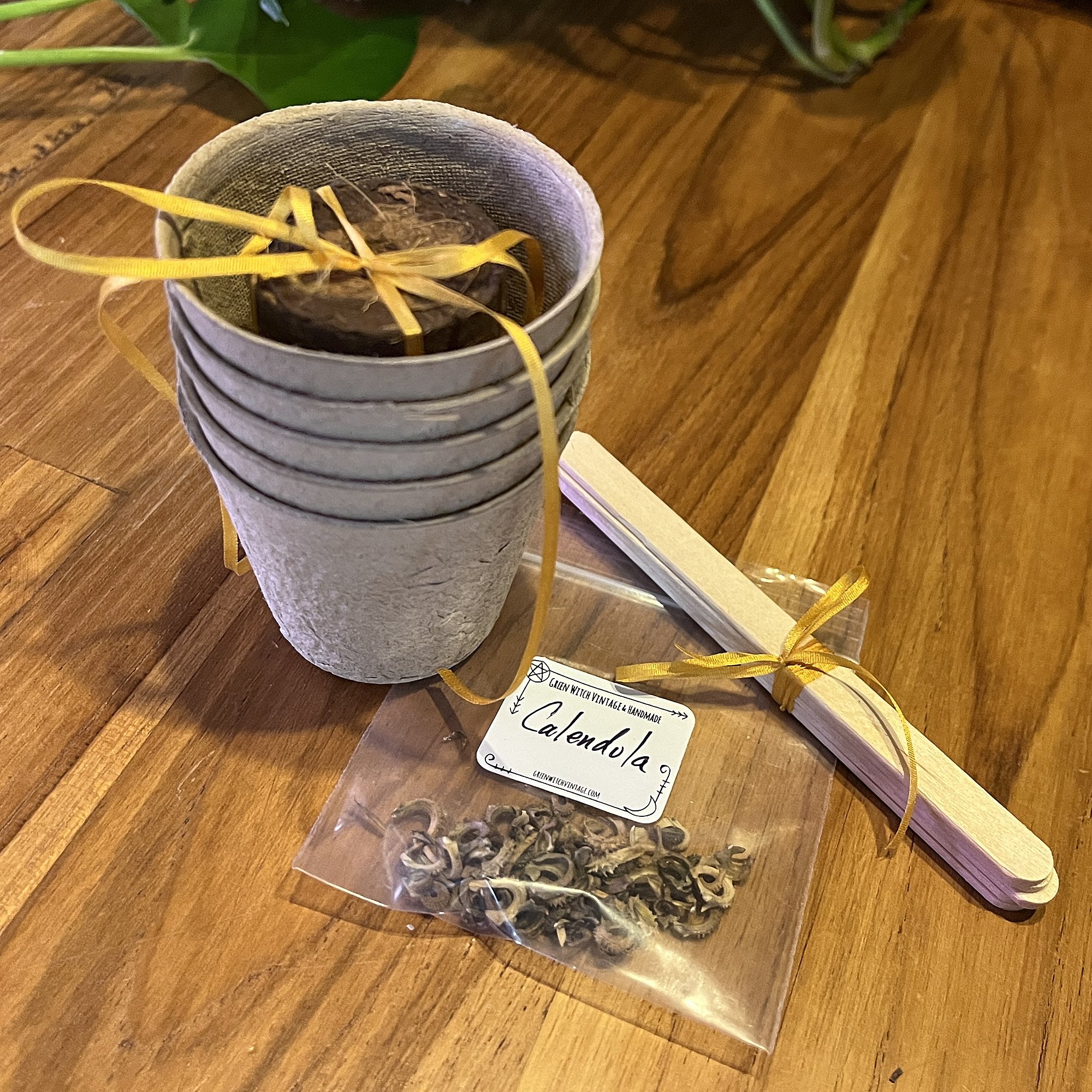 SeedSets_Calendula1.jpg
