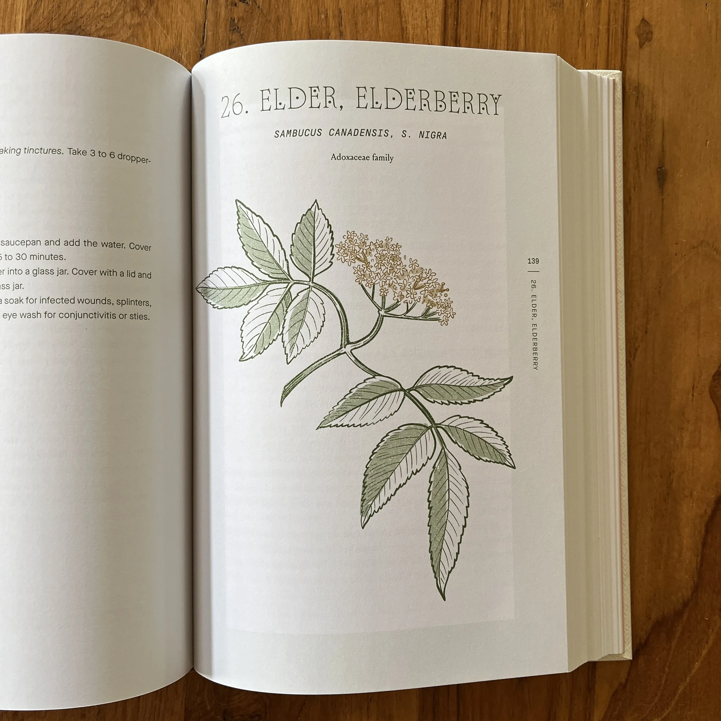 CompleteFolkHerbal5.jpg