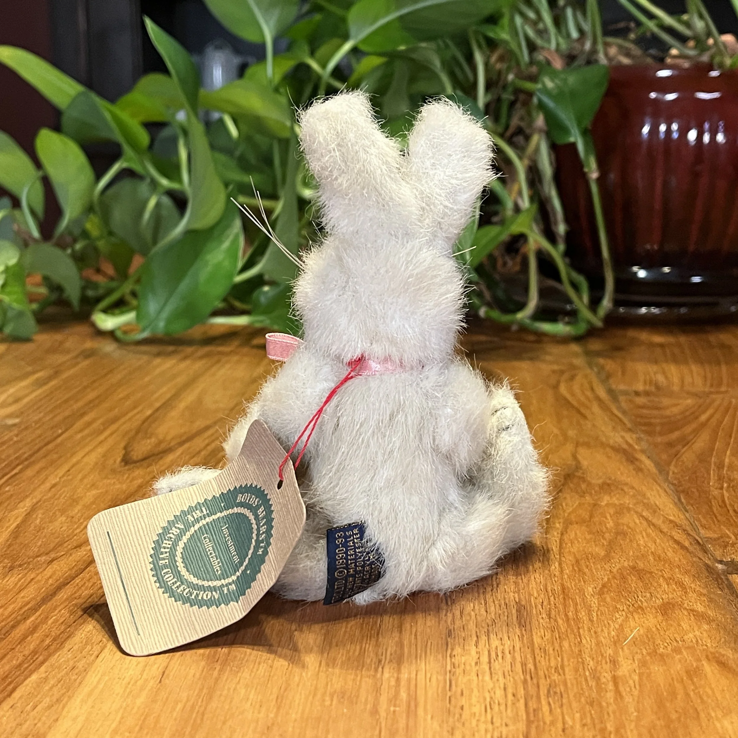 BoydsRabbit6.jpg