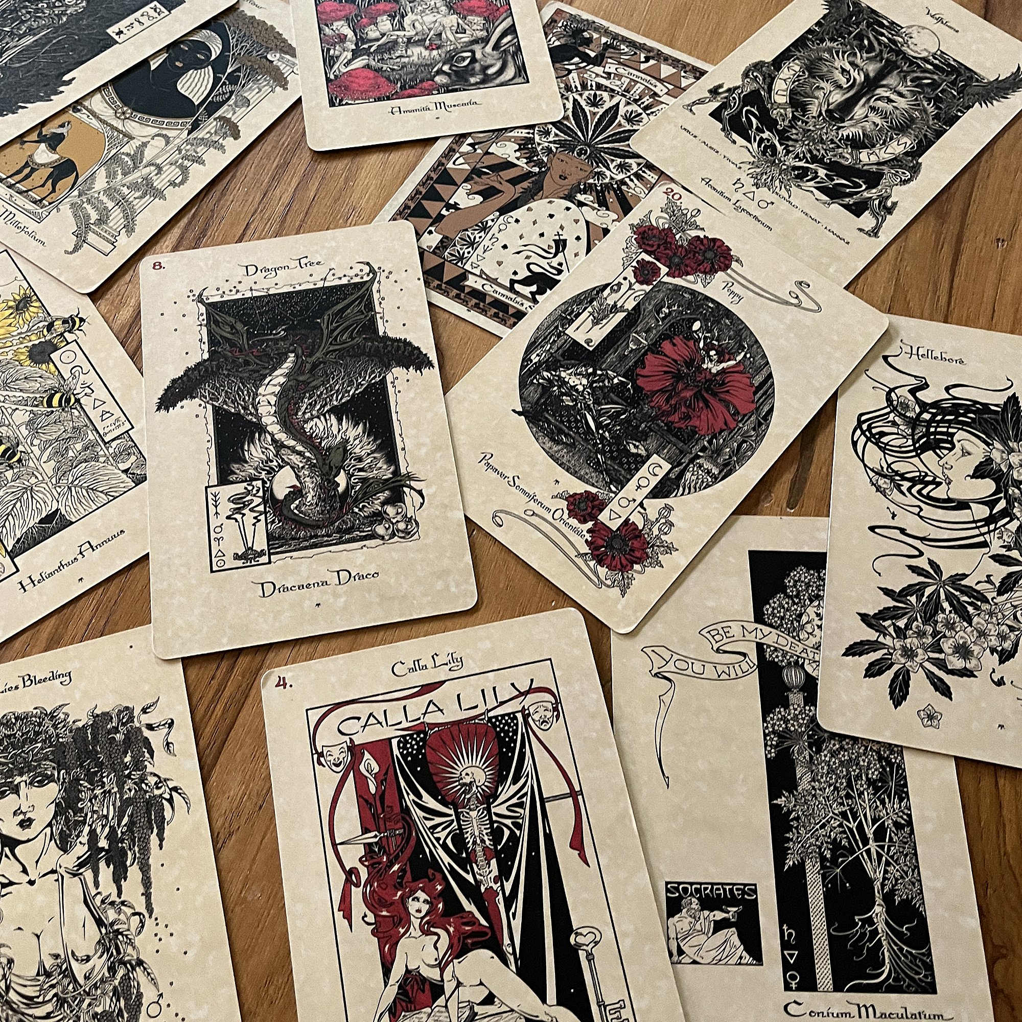 MagickalBotanicalOracle2.jpg