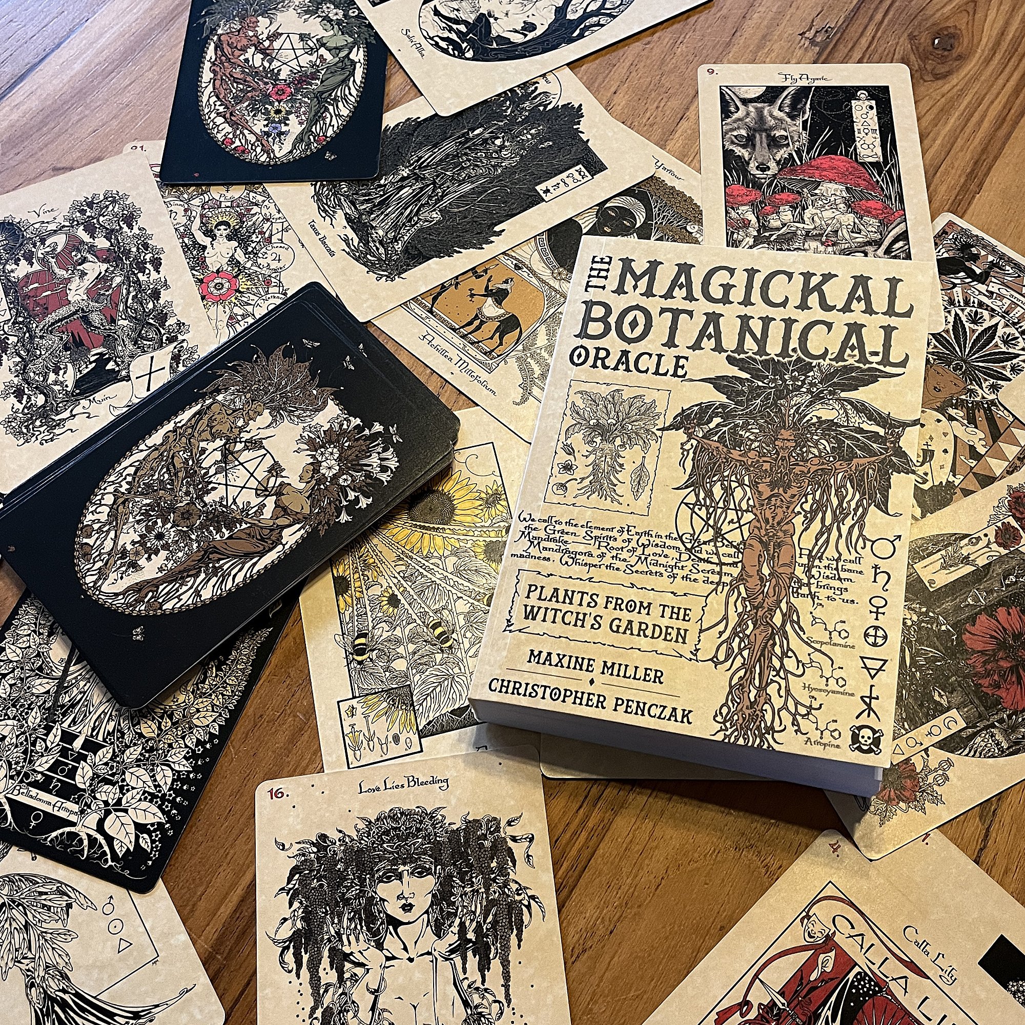 MagickalBotanicalOracle5.jpg