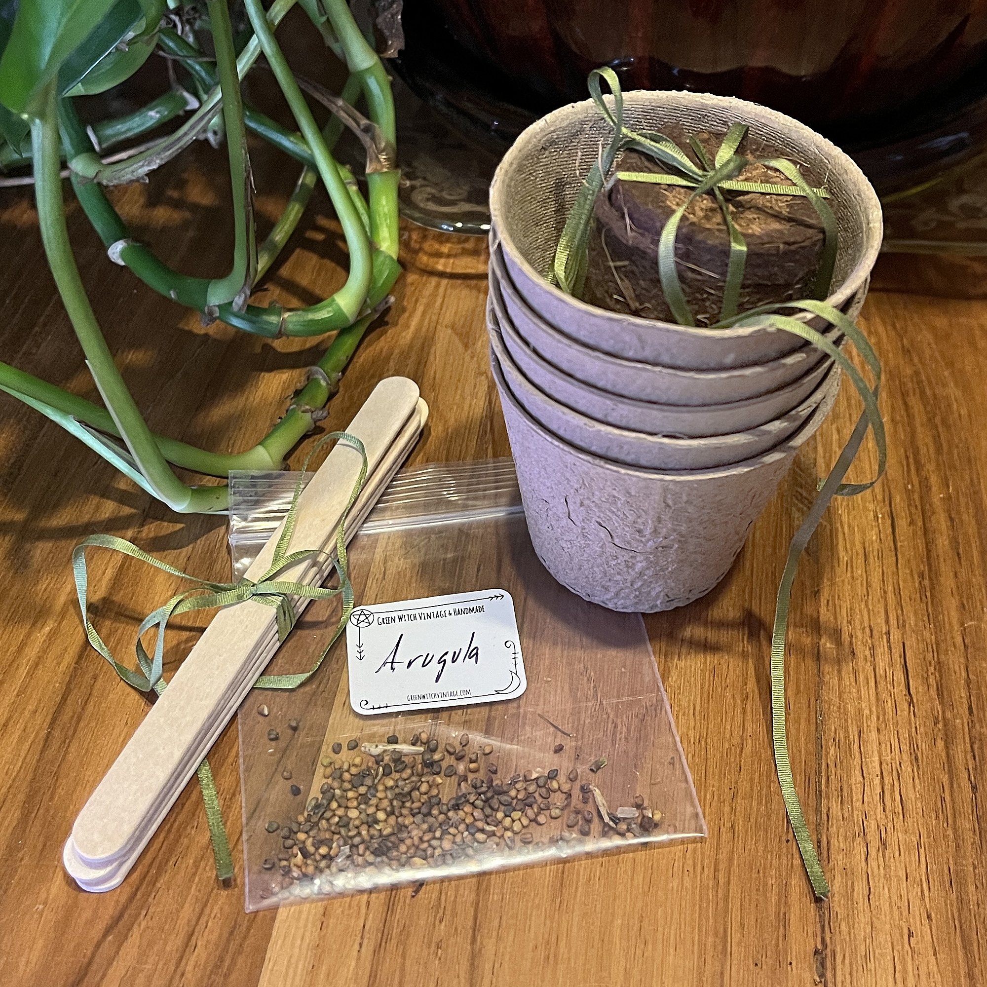 SeedSets_Arugula1.jpg