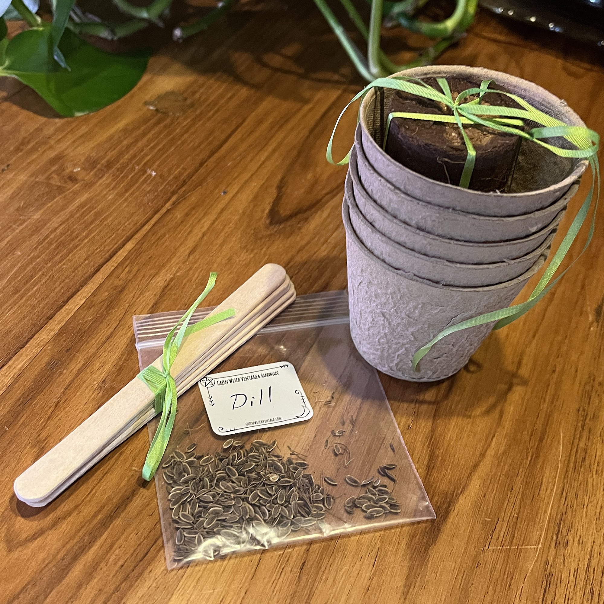SeedSets_Dill1.jpg