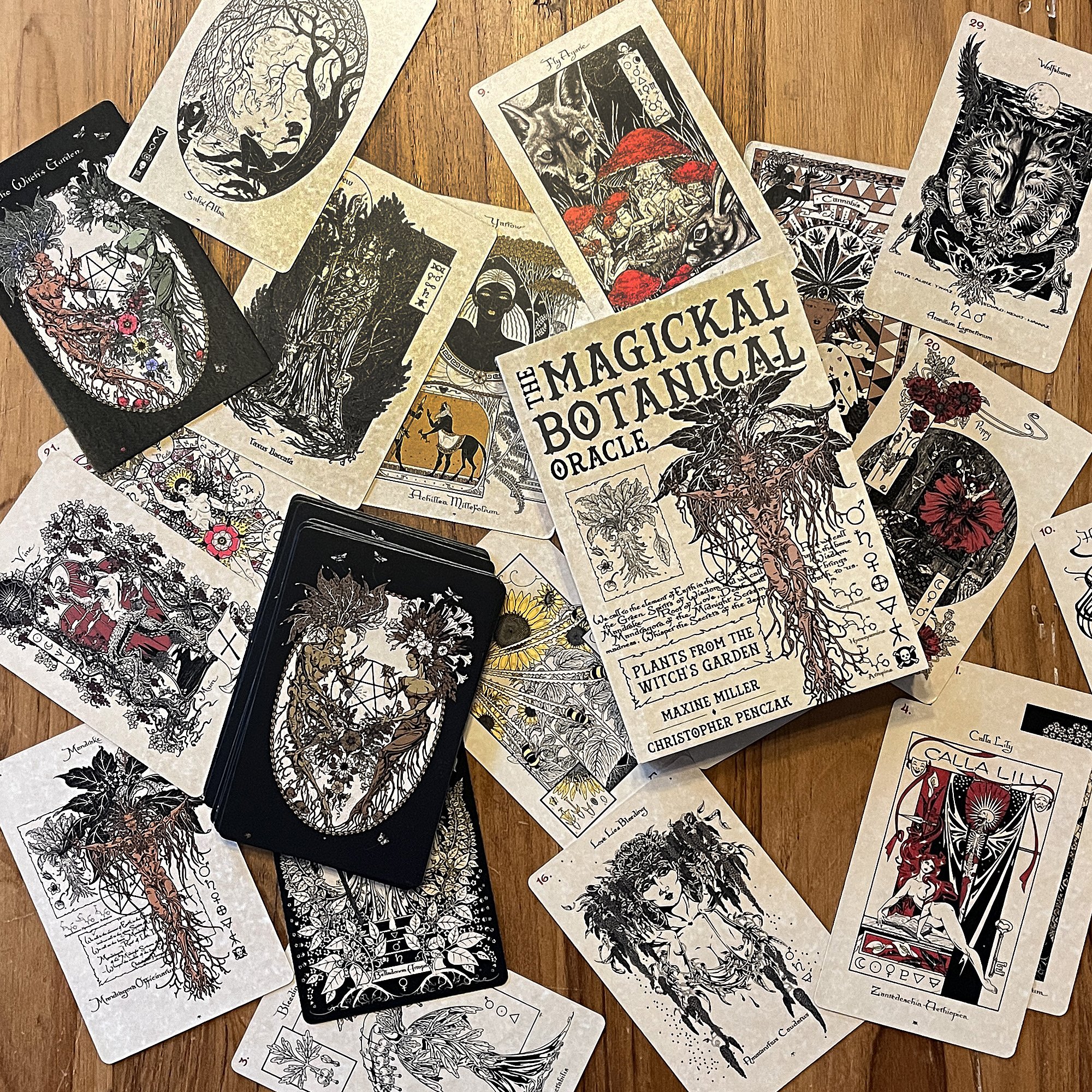 MagickalBotanicalOracle6.jpg