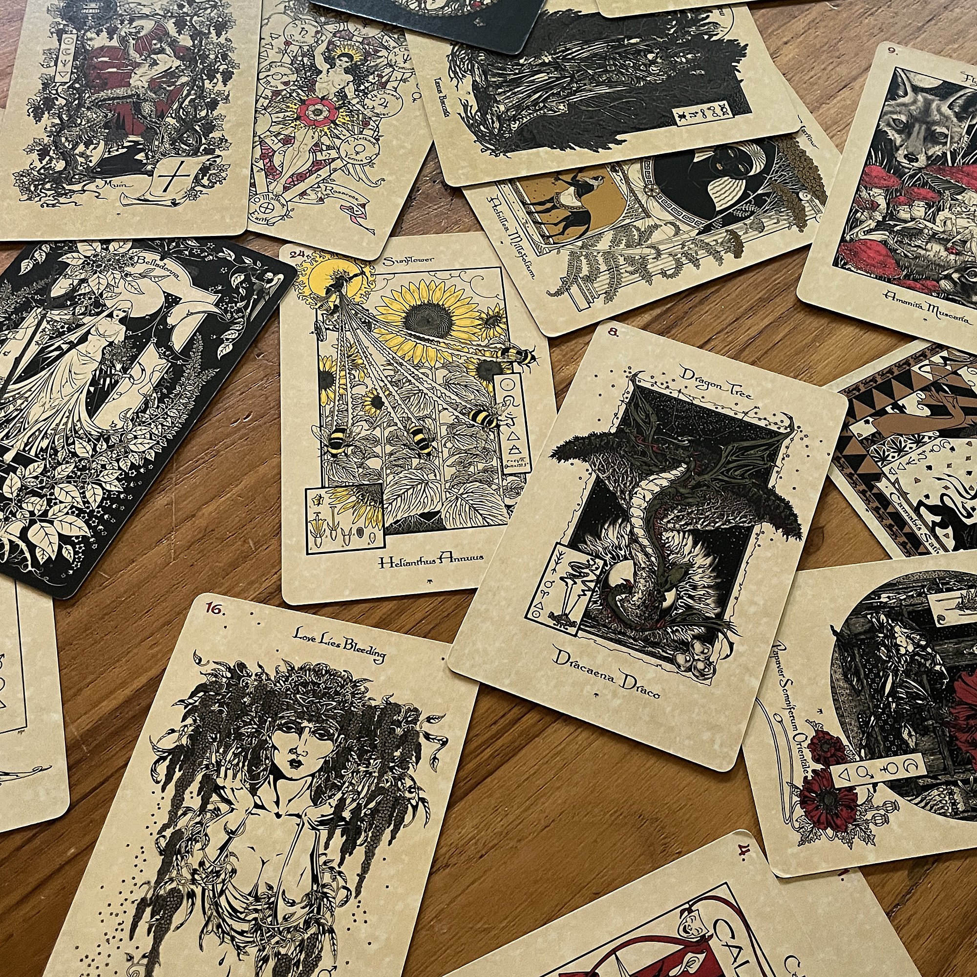 MagickalBotanicalOracle3.jpg