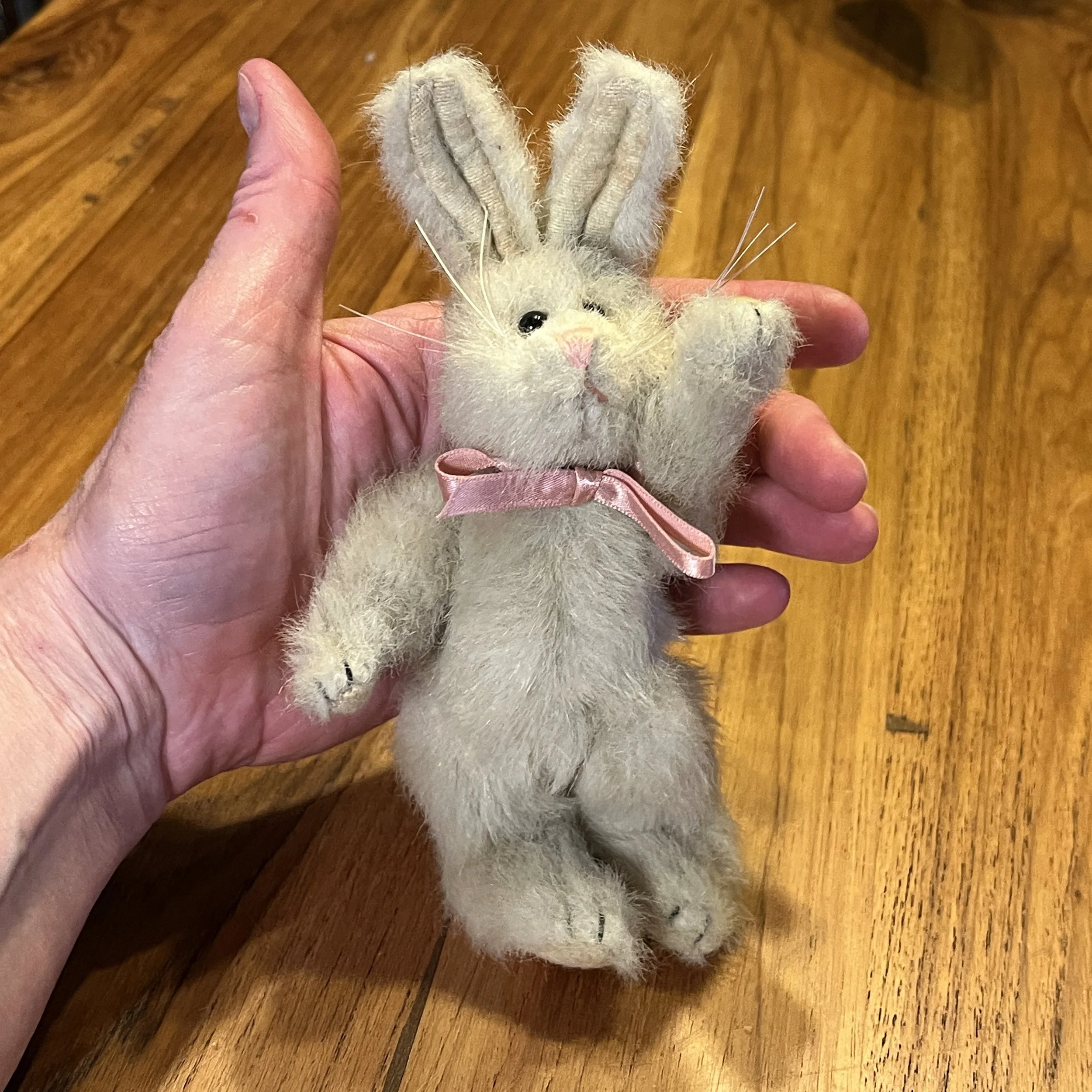 BoydsRabbit3.jpg
