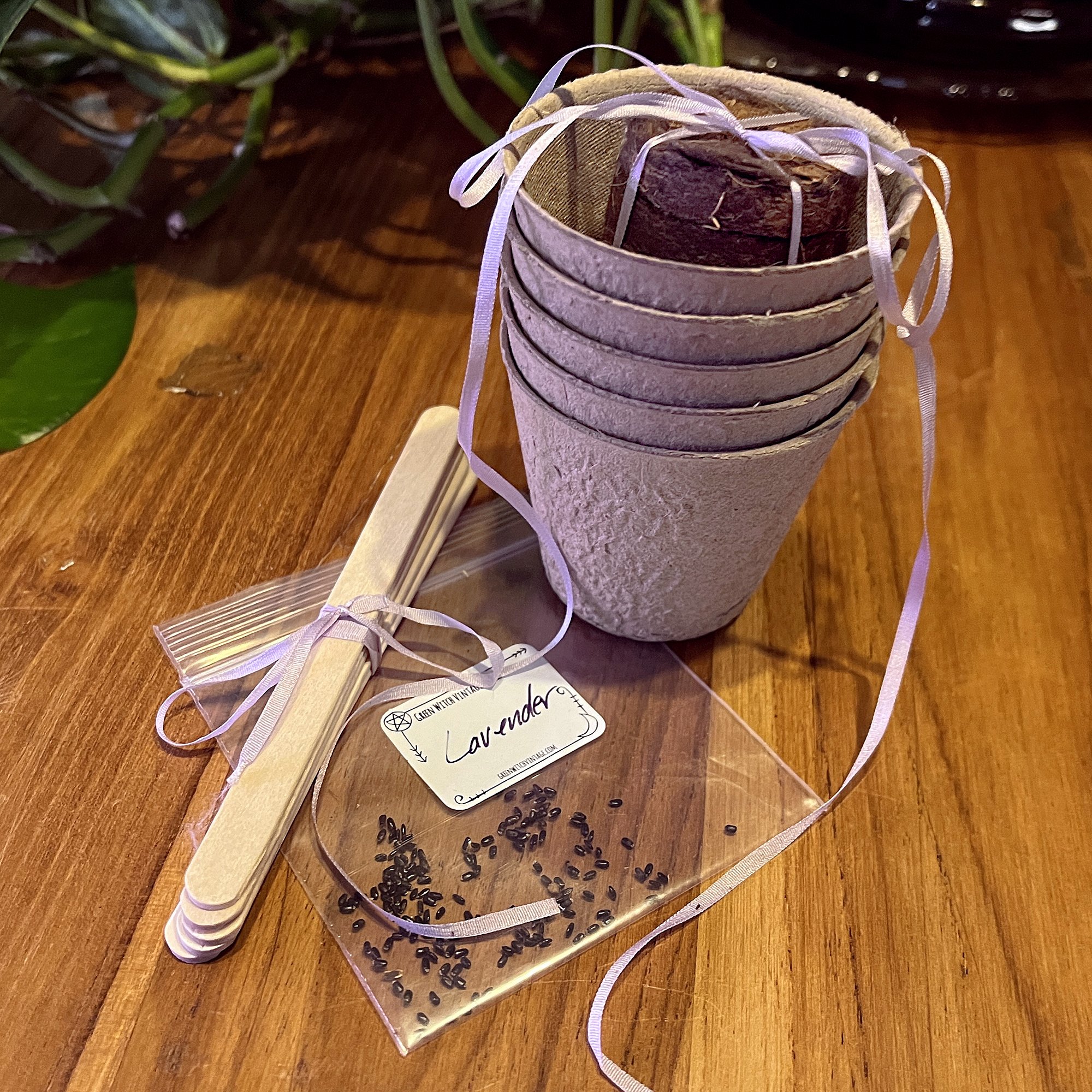 SeedSets_Lavender1.jpg