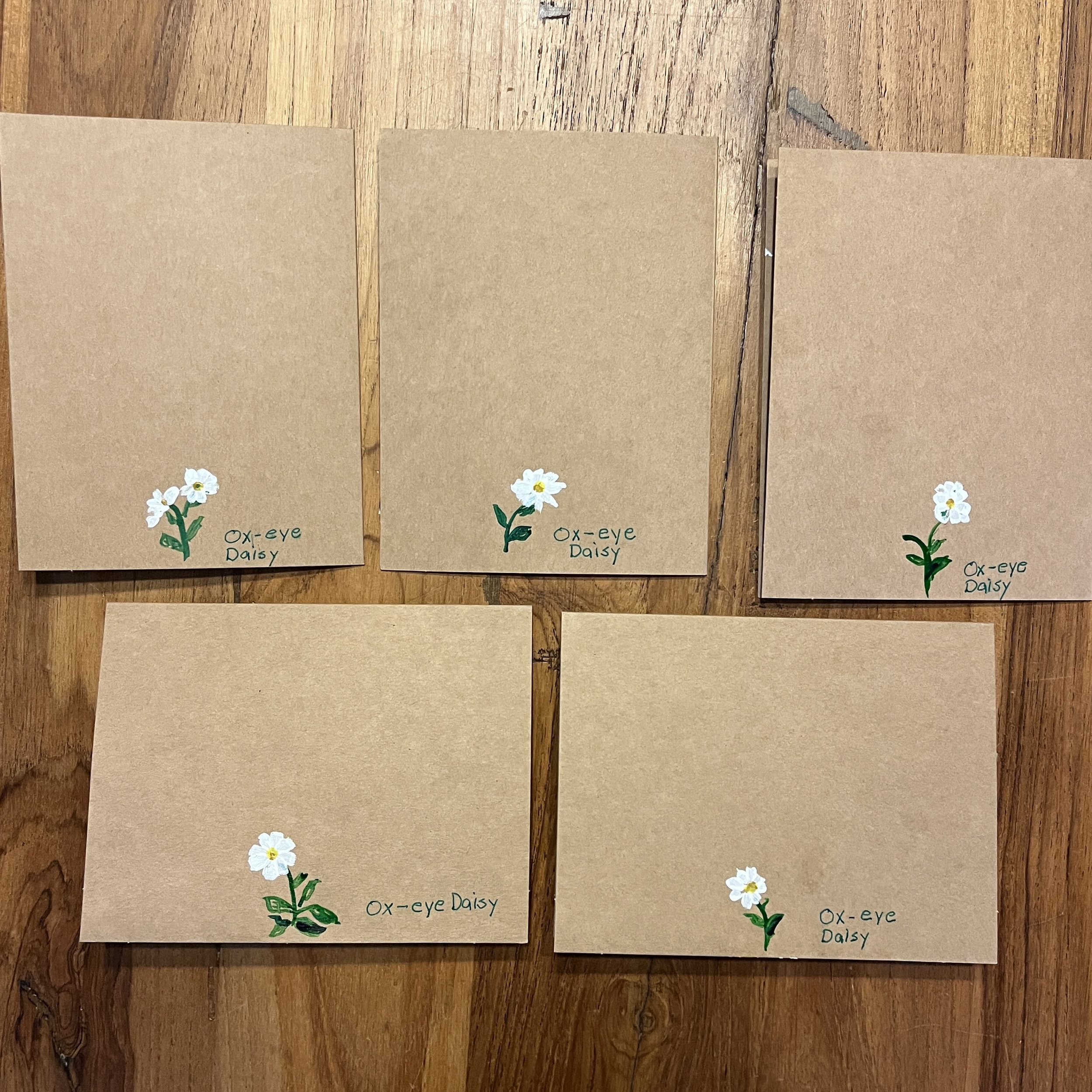Cards_OxEyeDaisy2.jpg