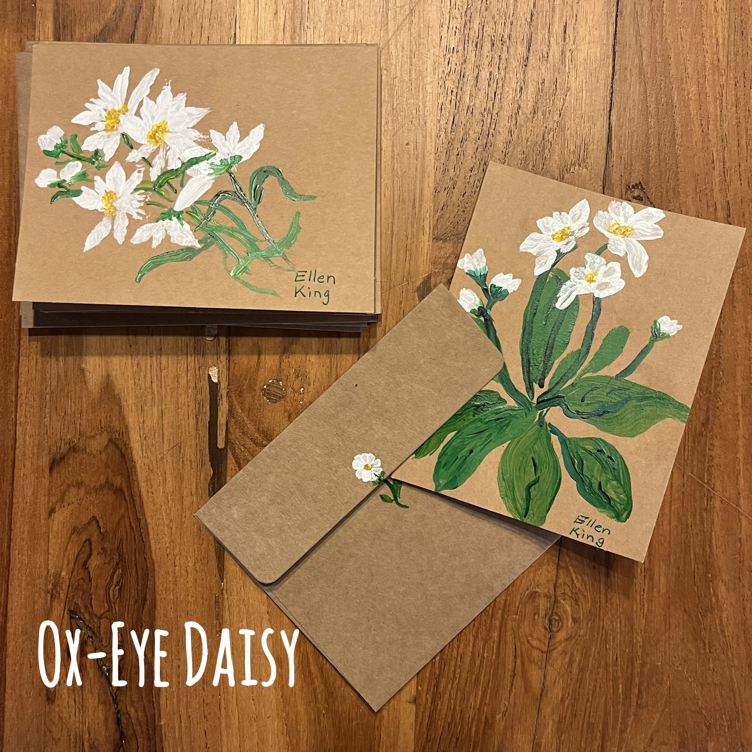 Cards_OxEyeDaisy5B.jpg