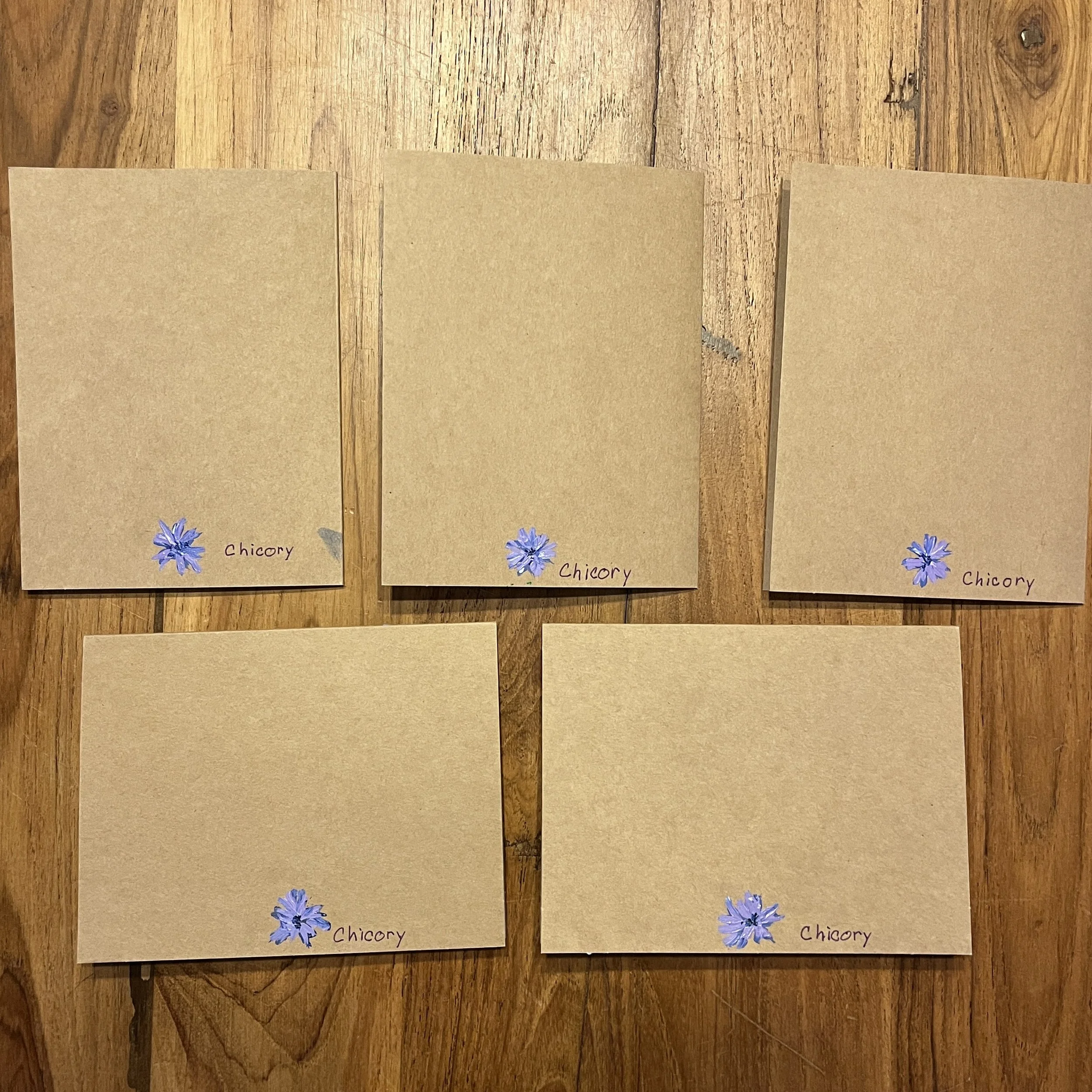 Cards_Chicory1.jpg