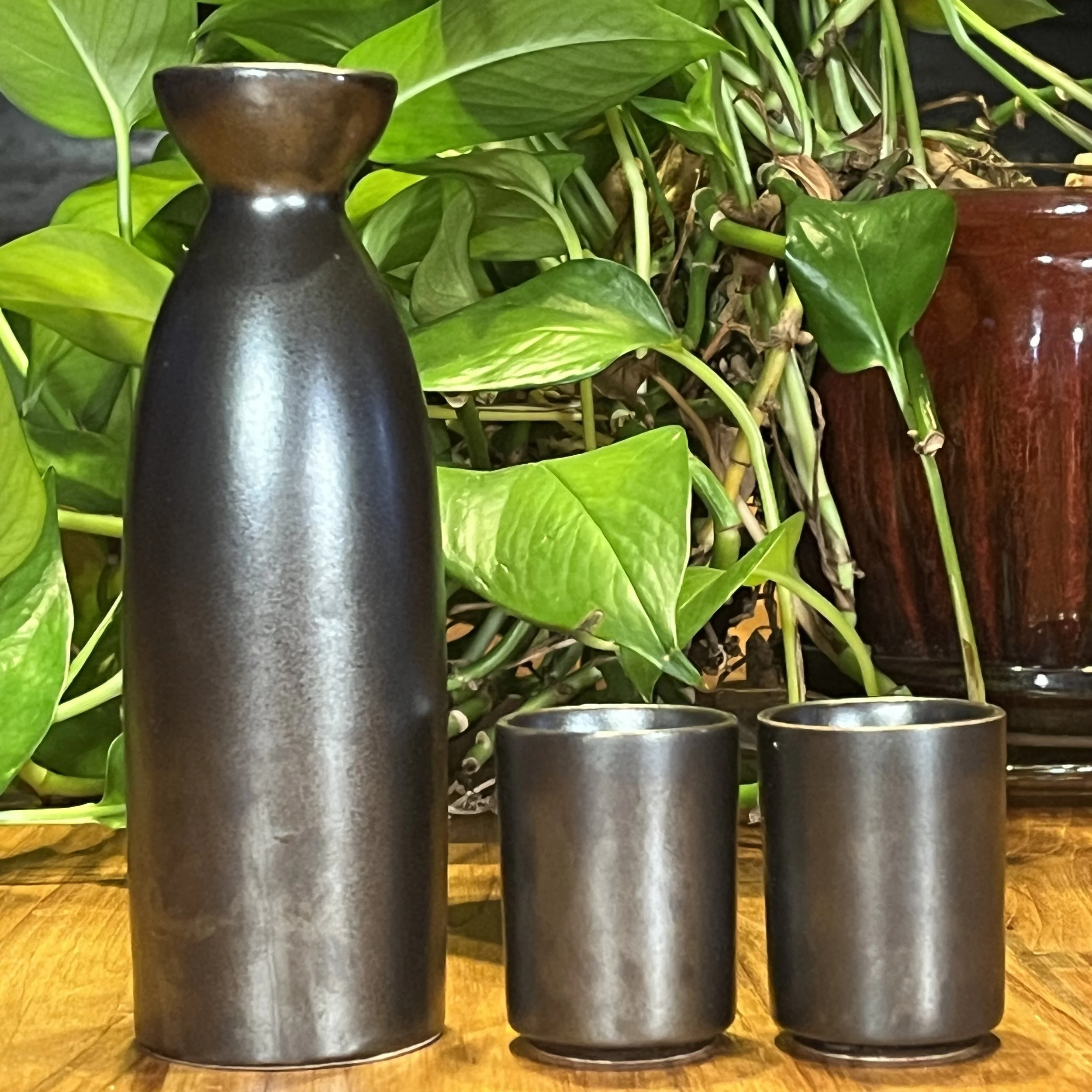 SakeSet4.jpg
