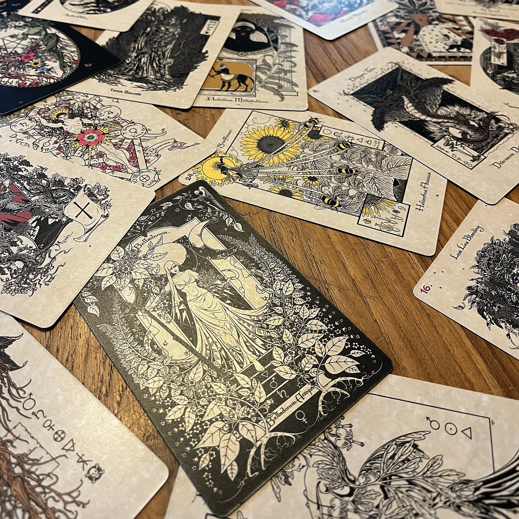 MagickalBotanicalOracle4.jpg