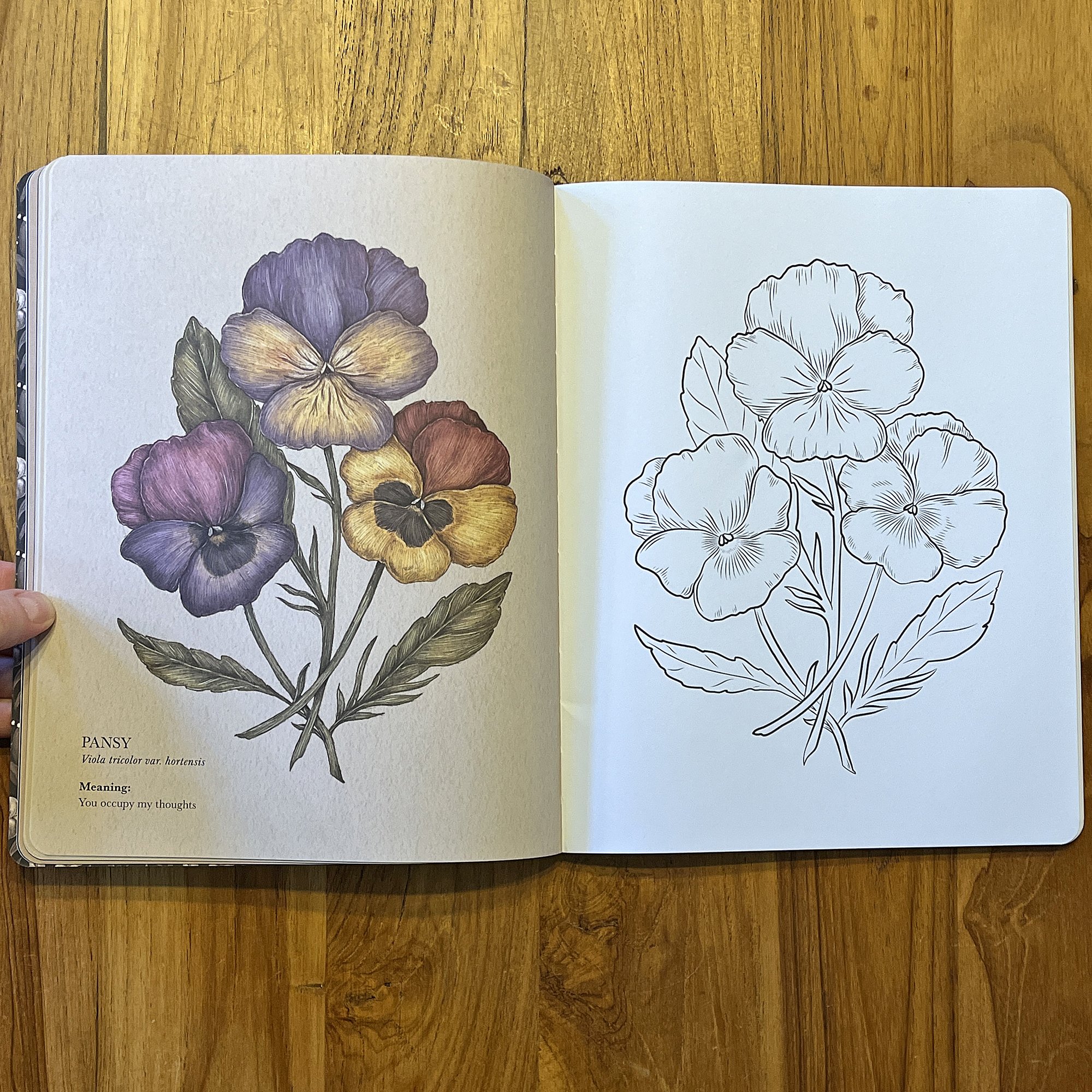 FlorigraphyColoringBook5.jpg