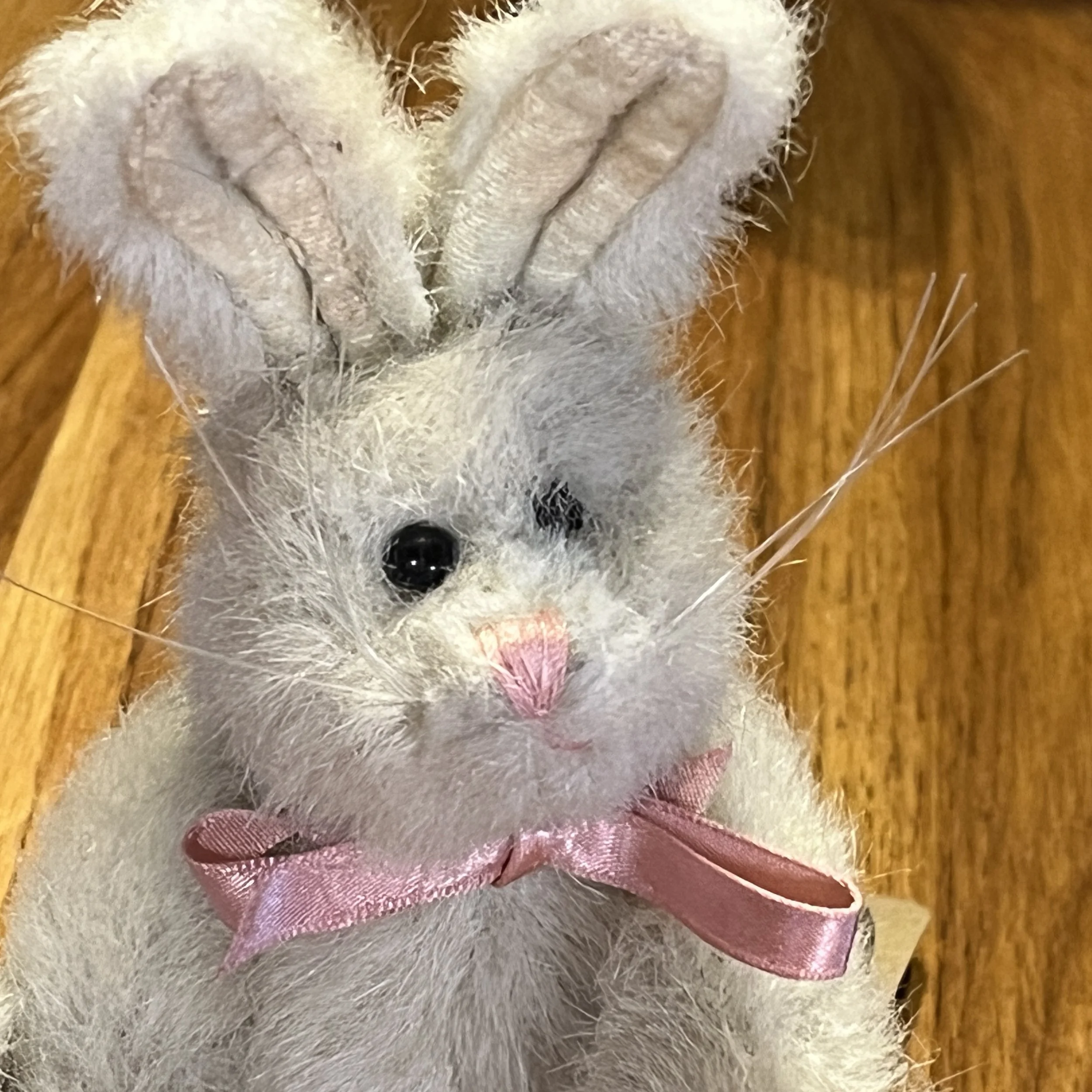 BoydsRabbit2.jpg