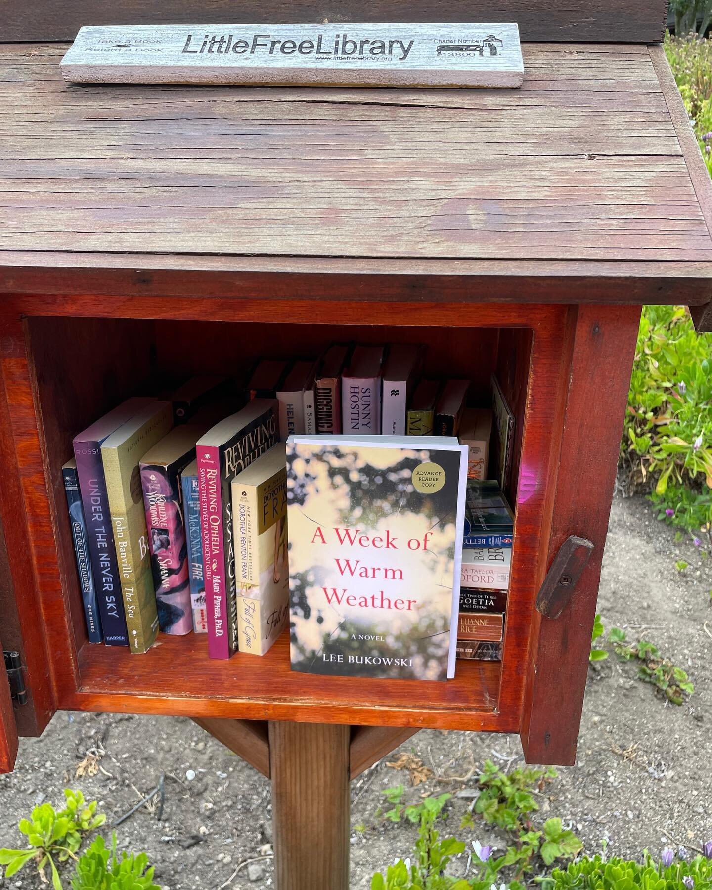 A Week of Warm Weather getting some west coast action! Thank you @dianay.paulauthor for this pic from a Little Free Library in Carmel, CA! 

Link in bio!
&bull;
&bull;
&bull;
#womensfictionbooks  #booklovers #sparkpress #debutnovel #bookstagram #book