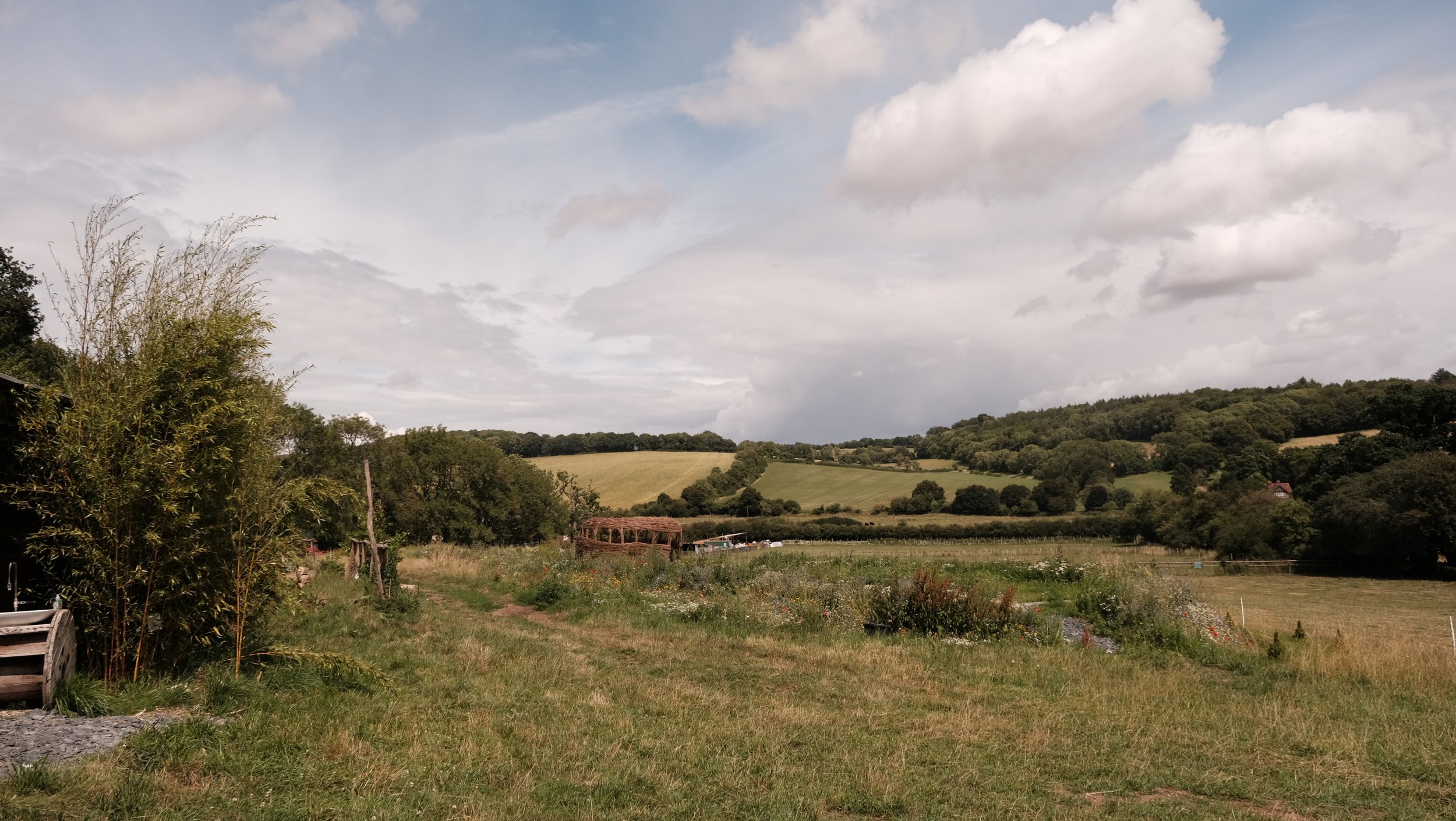 DSCF5727.jpg