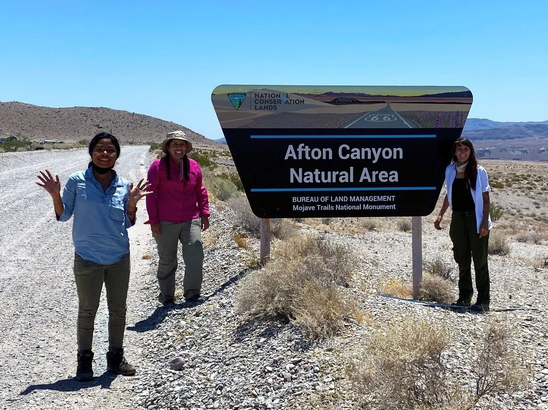 Women return to tracking bighorn in the Mojave