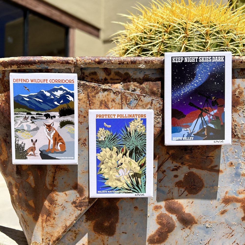 Clear Vinyl Atlas Moth Sticker —mini cards Bridgette Jones Nature  Prints-Bridgette Jones Nature Prints