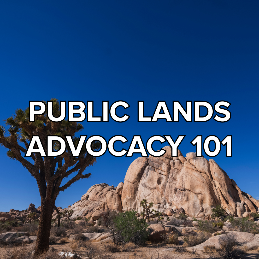 Free virtual training: Public lands advocacy 101