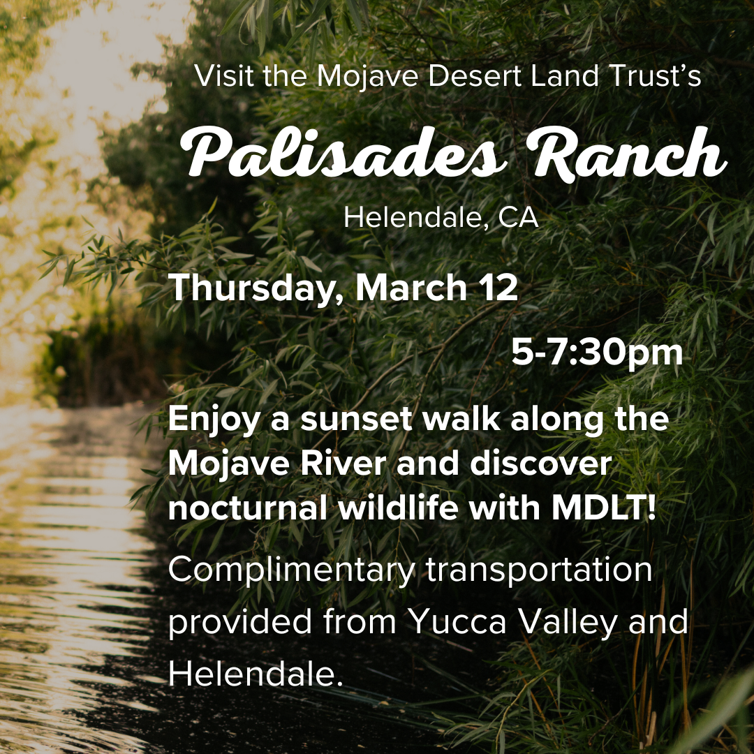 Guided tour of Palisades Ranch