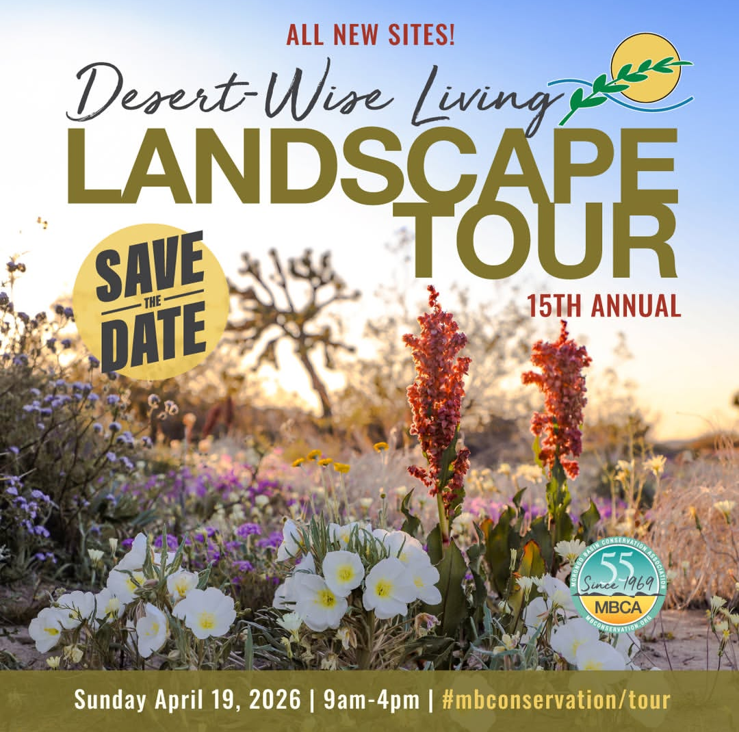 MBCA Desert-wise Landscape Tours