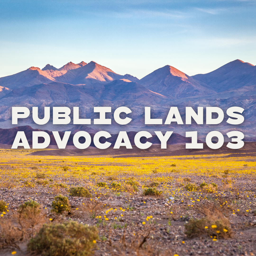 Free virtual training: Public Lands Advocacy 103