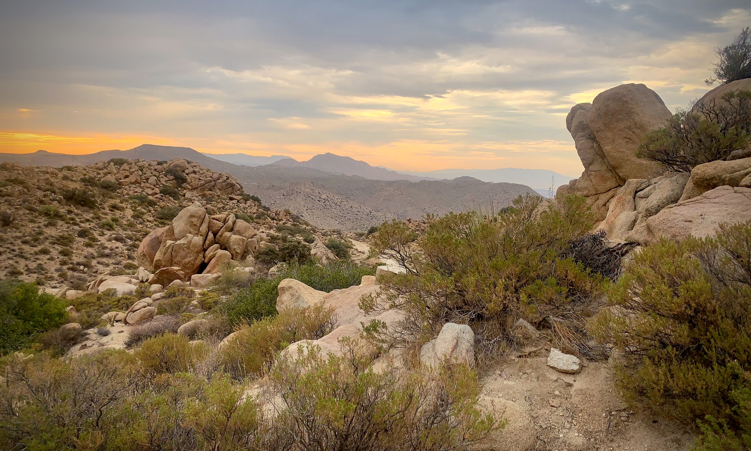 What next for endangered species in this fractured wilderness?