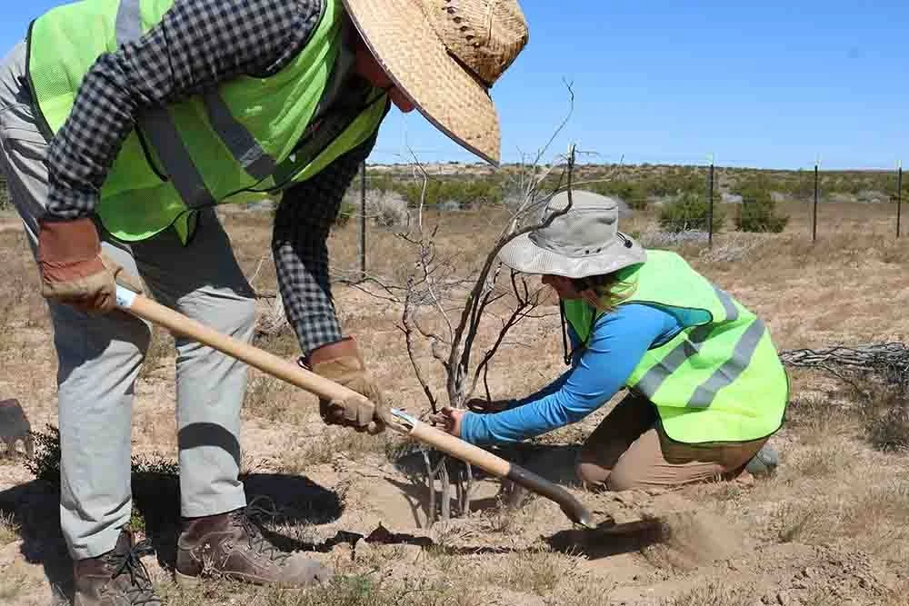 Deserts Nature-Based Solutions Summit