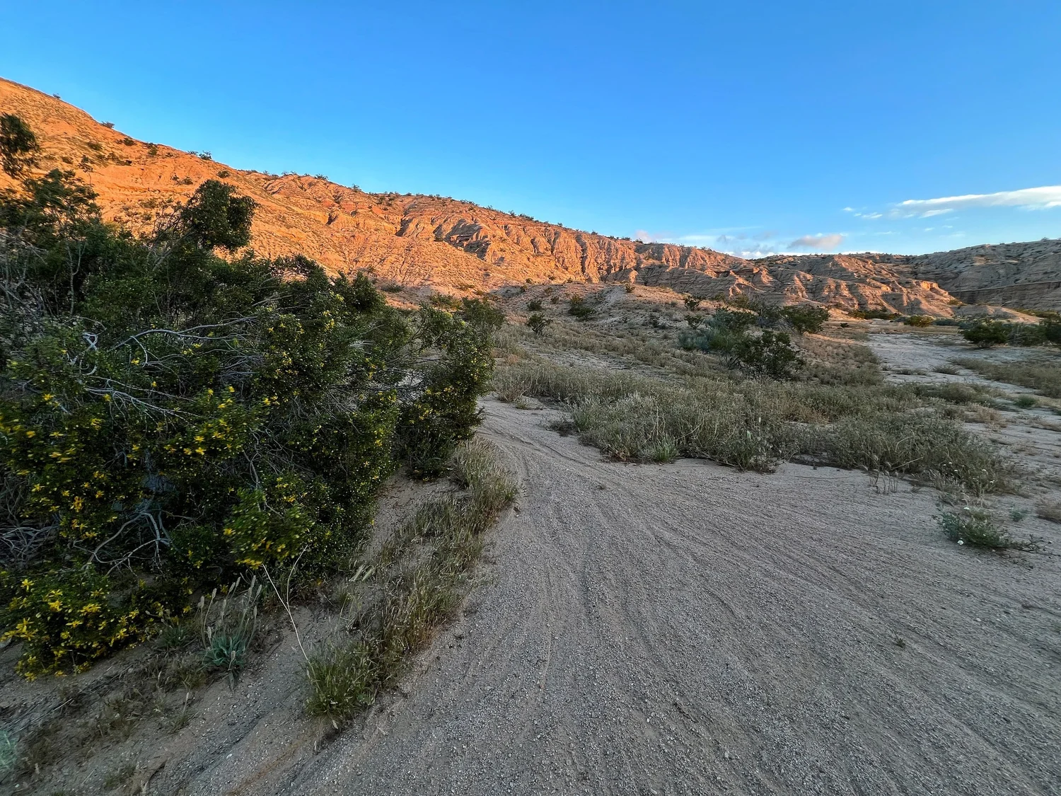 Lending a hand to repair a unique riparian habitat — Mojave Desert Land ...