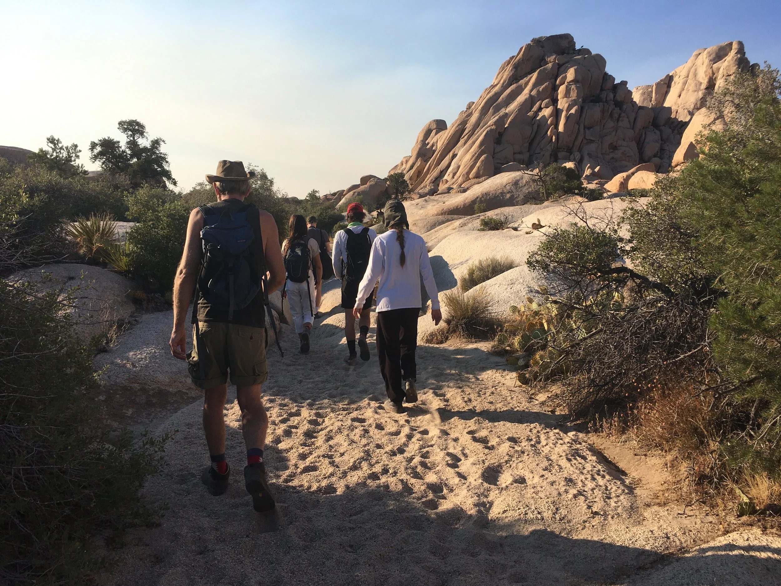 visiting-joshua-tree-a-desert-dweller-s-guide-mojave-desert-land-trust