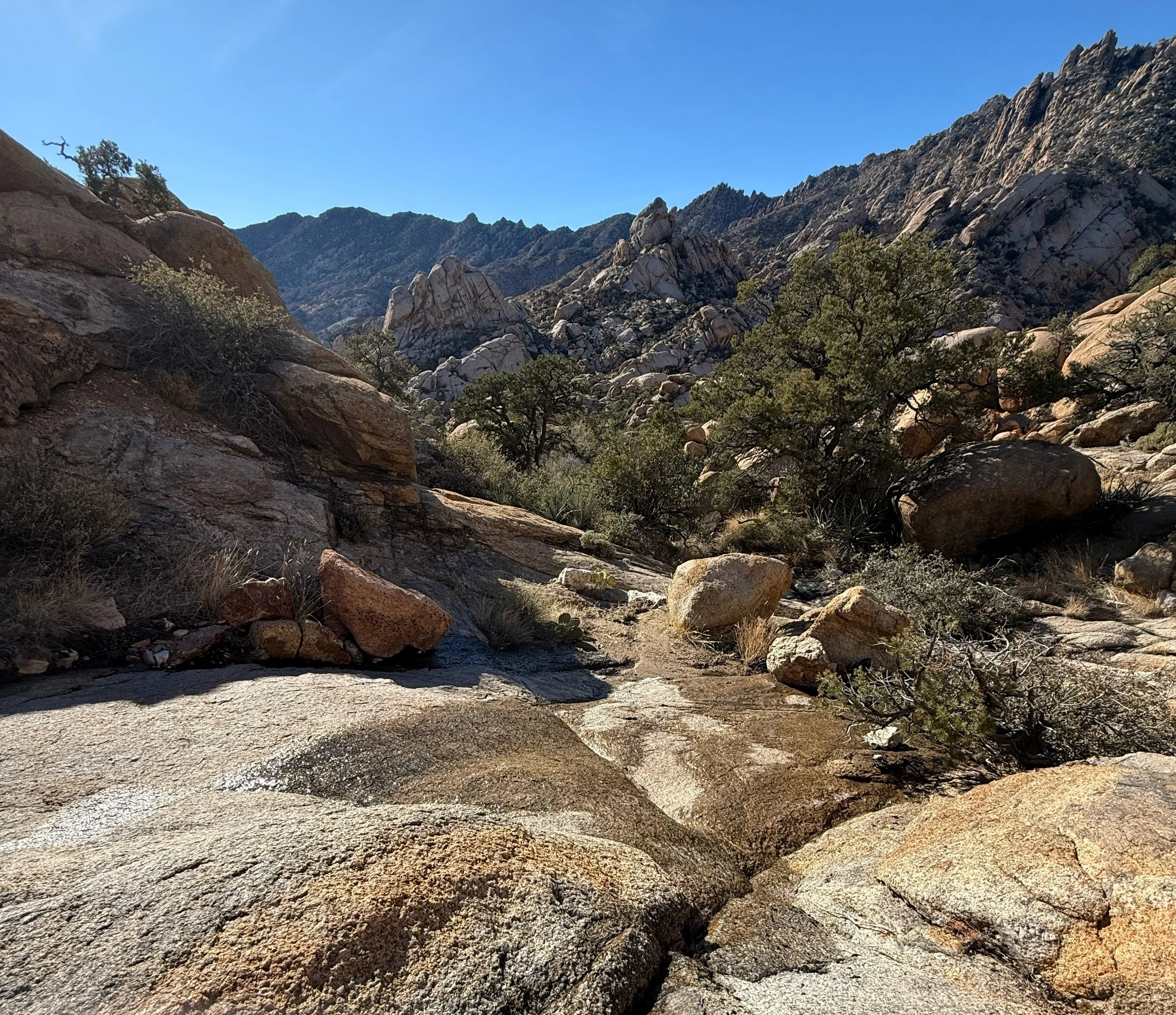 Notes from the field: Propagules and precipitation