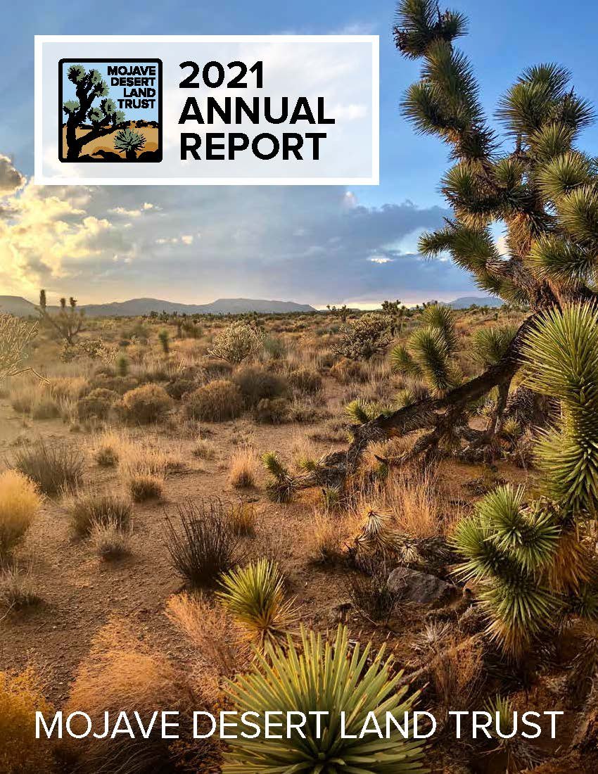 Desert Foothills Land Trust announces its 11th annual 'Desert Discovery  Day', Newsletter